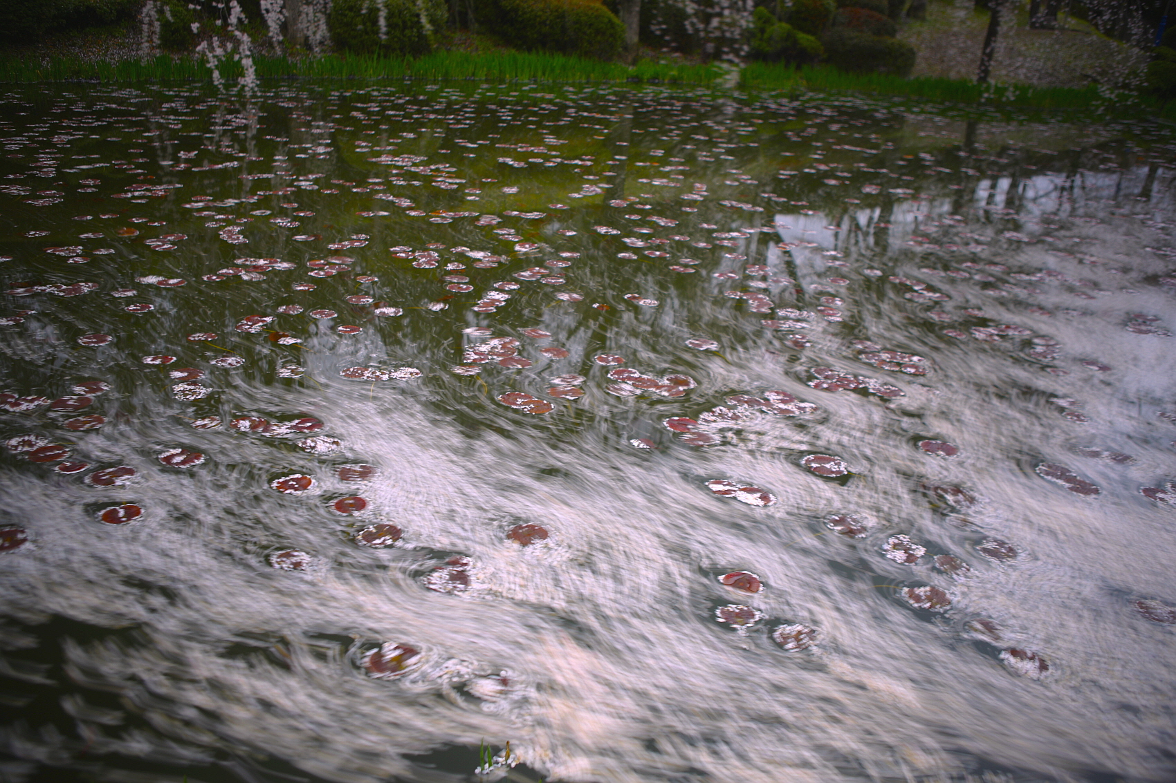 PHOTO BY  | Canon EOS 5D Mark III | 2018:04:04 16:40:11 | ISO-50 | 30/1 sec | f 2.8 | 28 mm | EV=0 | ● WIDTH:1700 pixels  HEIGHT:1133 pixels