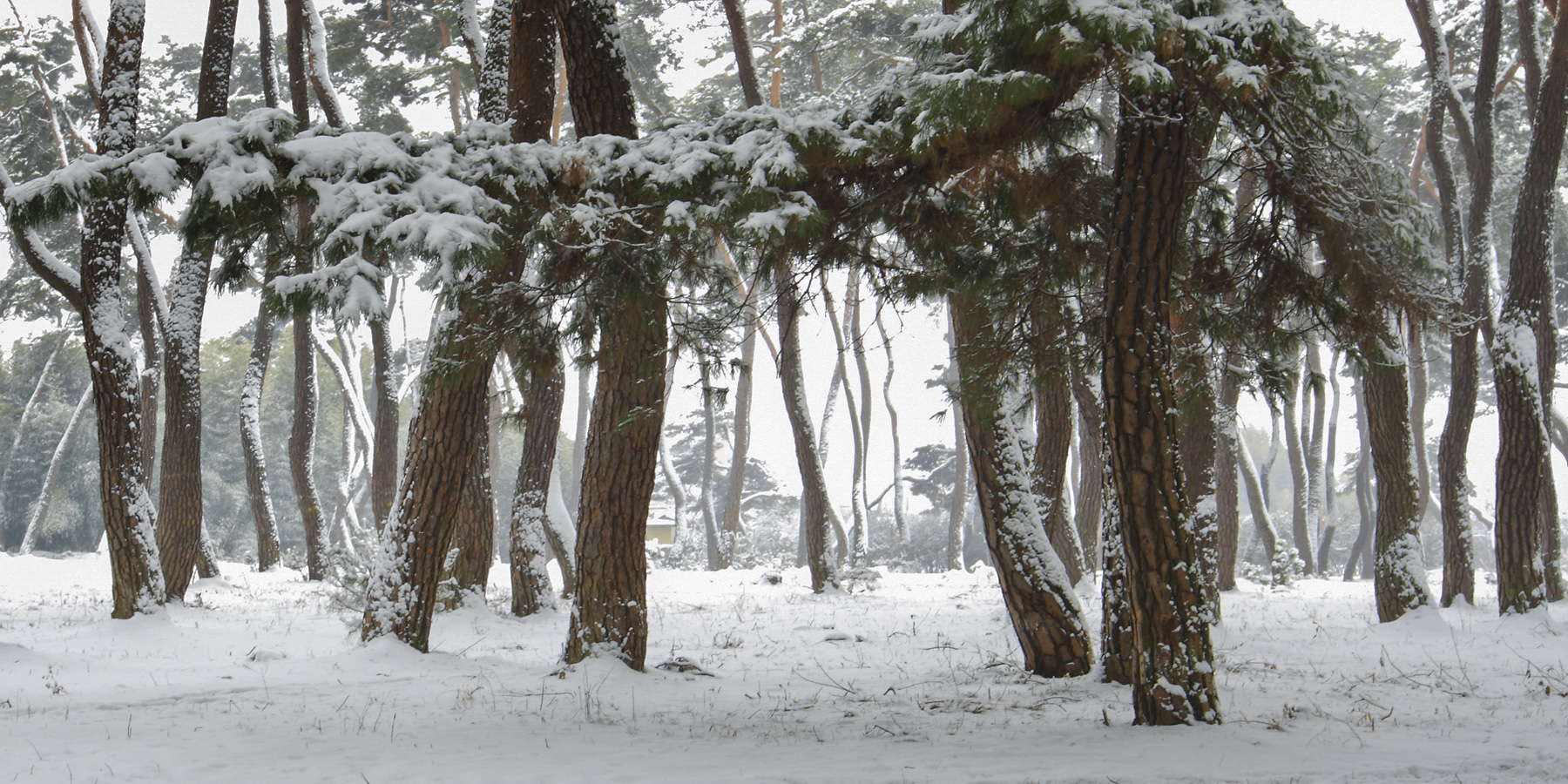 PHOTO BY  | CanonCanon  |  | ISO- |  |  |  | EV=0 | ● WIDTH:  HEIGHT: