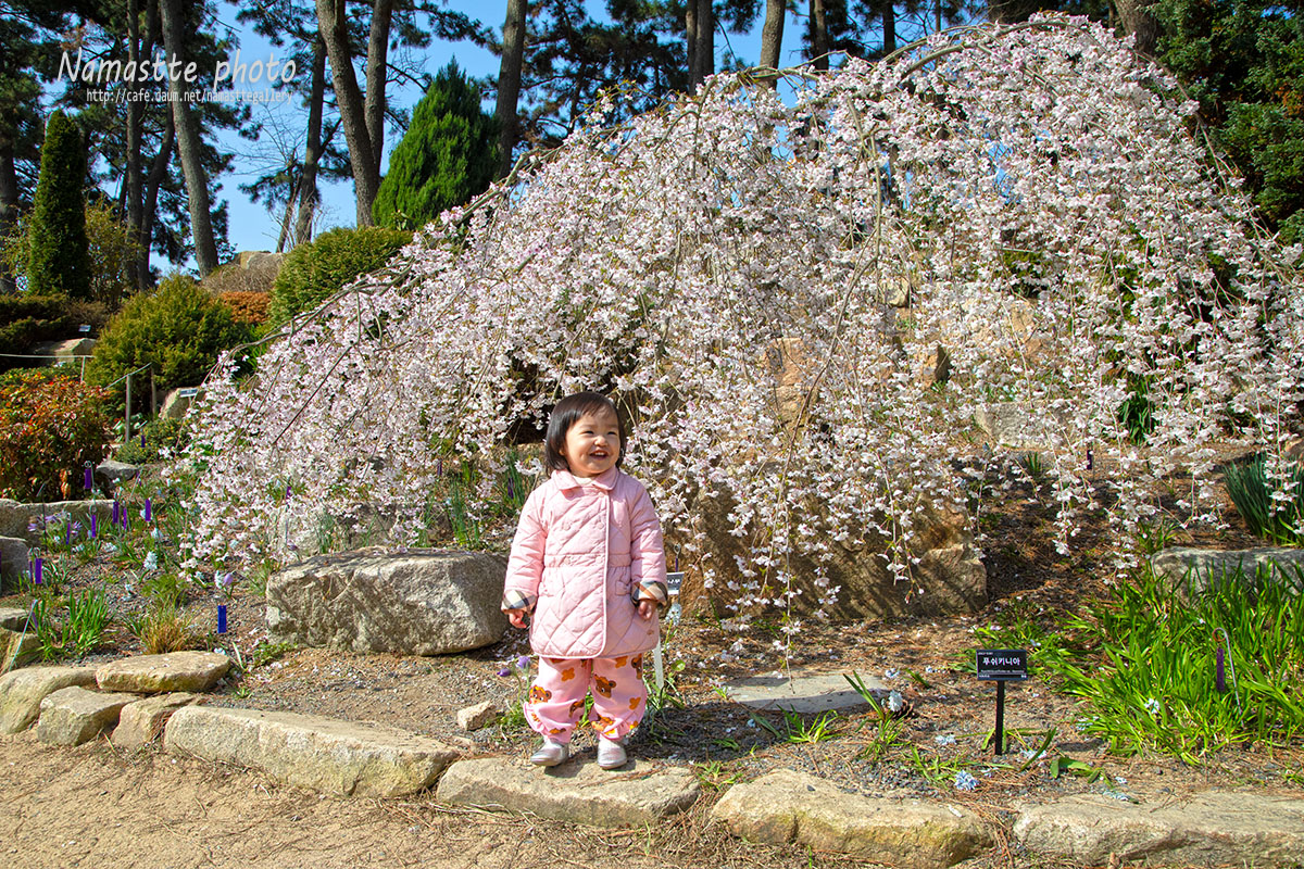 PHOTO BY LEE PILKOO | Canon EOS 5D Mark IV | 2024:04:07 10:01:19 | ISO-200 | 1/800 sec | f 8 | 28 mm | EV=-0.7 | ● WIDTH:1200 pixels  HEIGHT:800 pixels