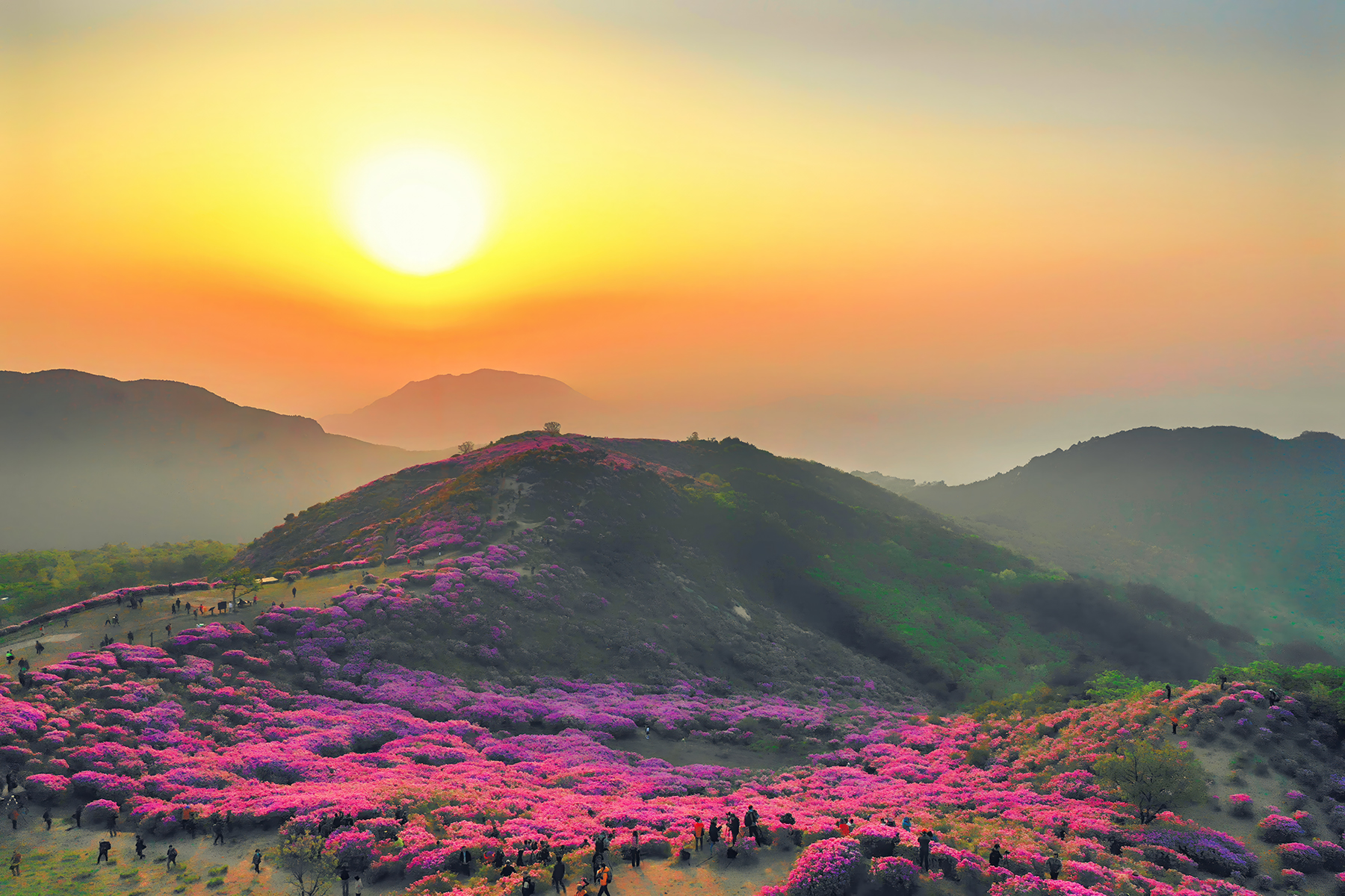 PHOTO BY  | L1D-20c | 2019:05:11 05:57:33 | ISO-100 | 1/120 sec | f 4.5 | 10.26 mm | EV=-0.7 | ● WIDTH:1800 pixels  HEIGHT:1200 pixels