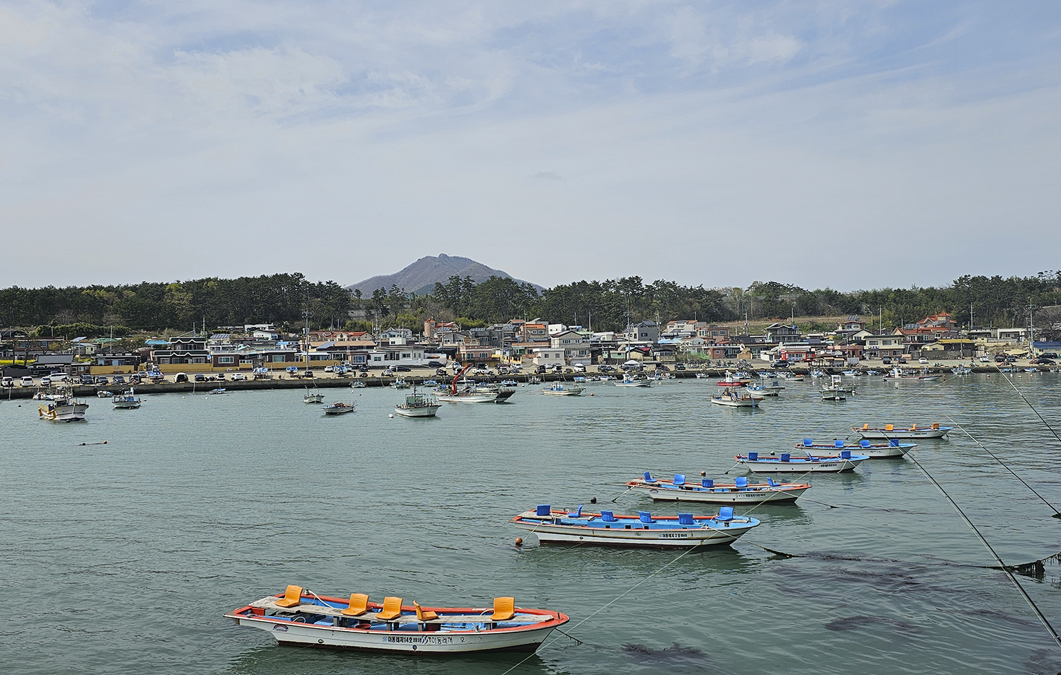 PHOTO BY  | Galaxy S23 Ultra | 2024:04:10 14:23:25 | ISO-10 | 1/1500 sec | f 1.7 | 6.3 mm | EV=0 | ● WIDTH:1500 pixels  HEIGHT:954 pixels