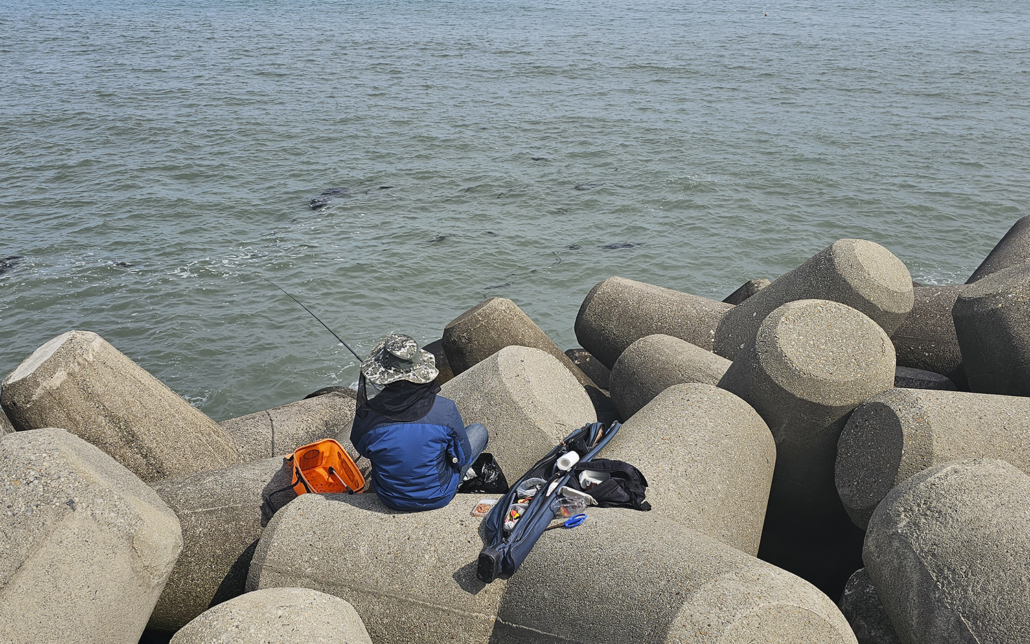 PHOTO BY  | Galaxy S23 Ultra | 2024:04:10 14:31:16 | ISO-10 | 1/1050 sec | f 1.7 | 6.3 mm | EV=0 | ● WIDTH:1500 pixels  HEIGHT:938 pixels