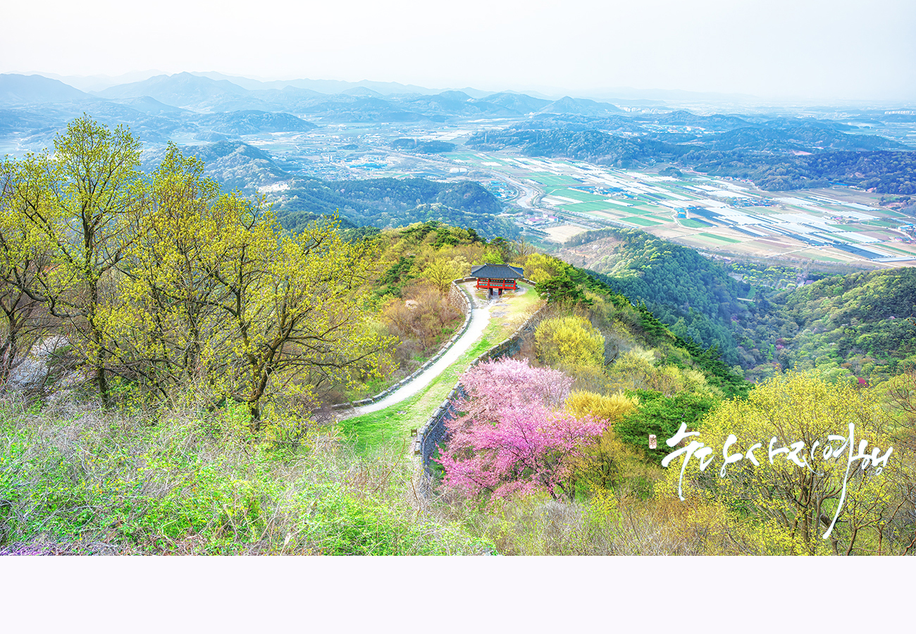   | PHOTO BY : 수당/박상돈  |