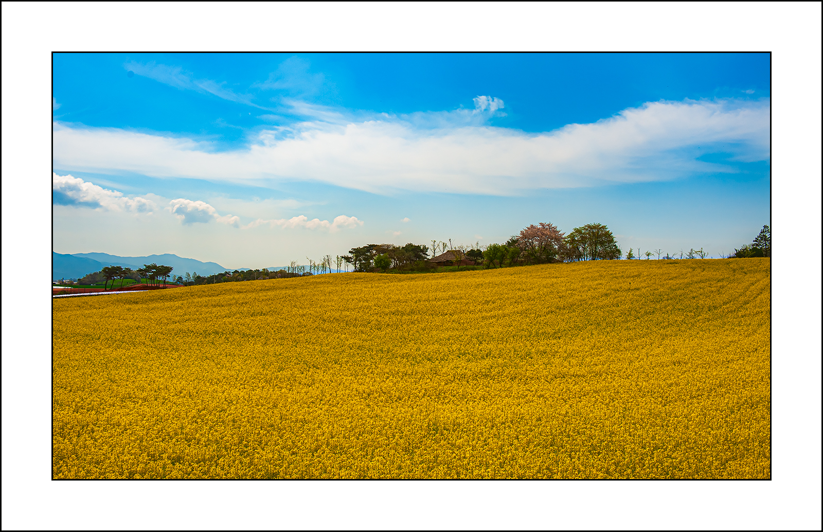   | PHOTO BY : 삿갓/정봉식  |