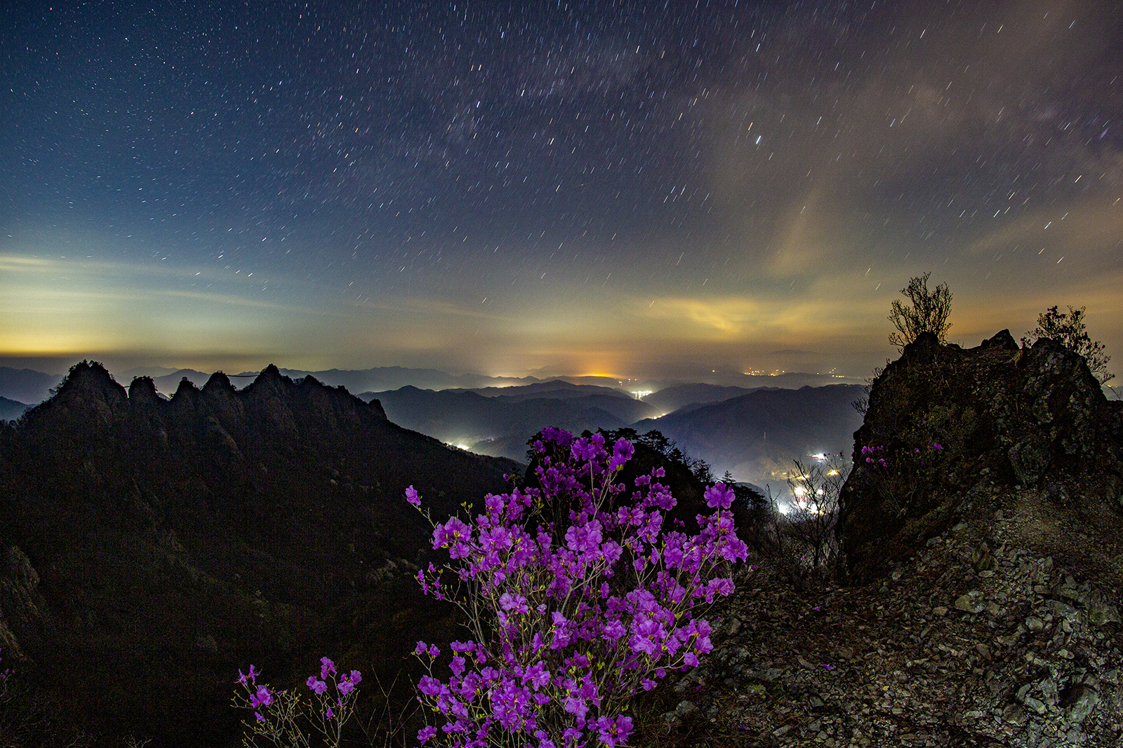 PHOTO BY MINKYUKIM | Canon EOS 5D Mark III | 2024:04:12 02:40:26 | ISO-800 | 264/1 sec |  |  | EV=0 | ● WIDTH:1600 pixels  HEIGHT:1067 pixels