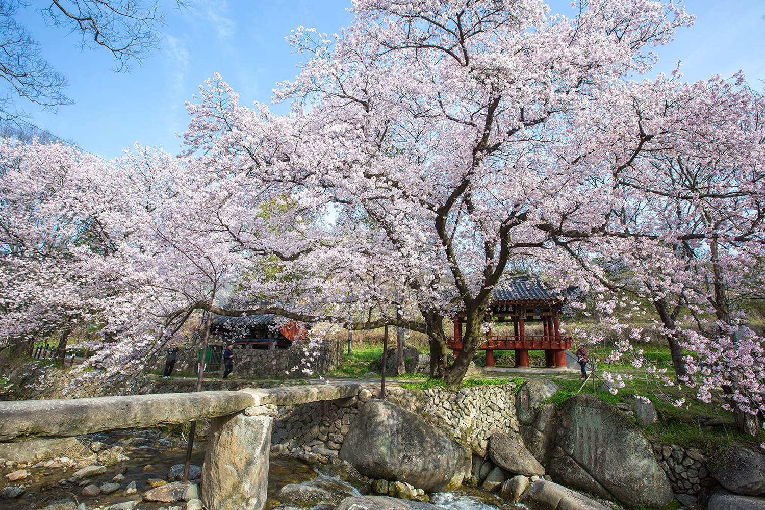 PHOTO BY  | Canon EOS 5D Mark III | 2024:04:10 08:36:47 | ISO-250 | 1/400 sec | f 8 | 16 mm | EV=0 | ● WIDTH:1500 pixels  HEIGHT:1000 pixels