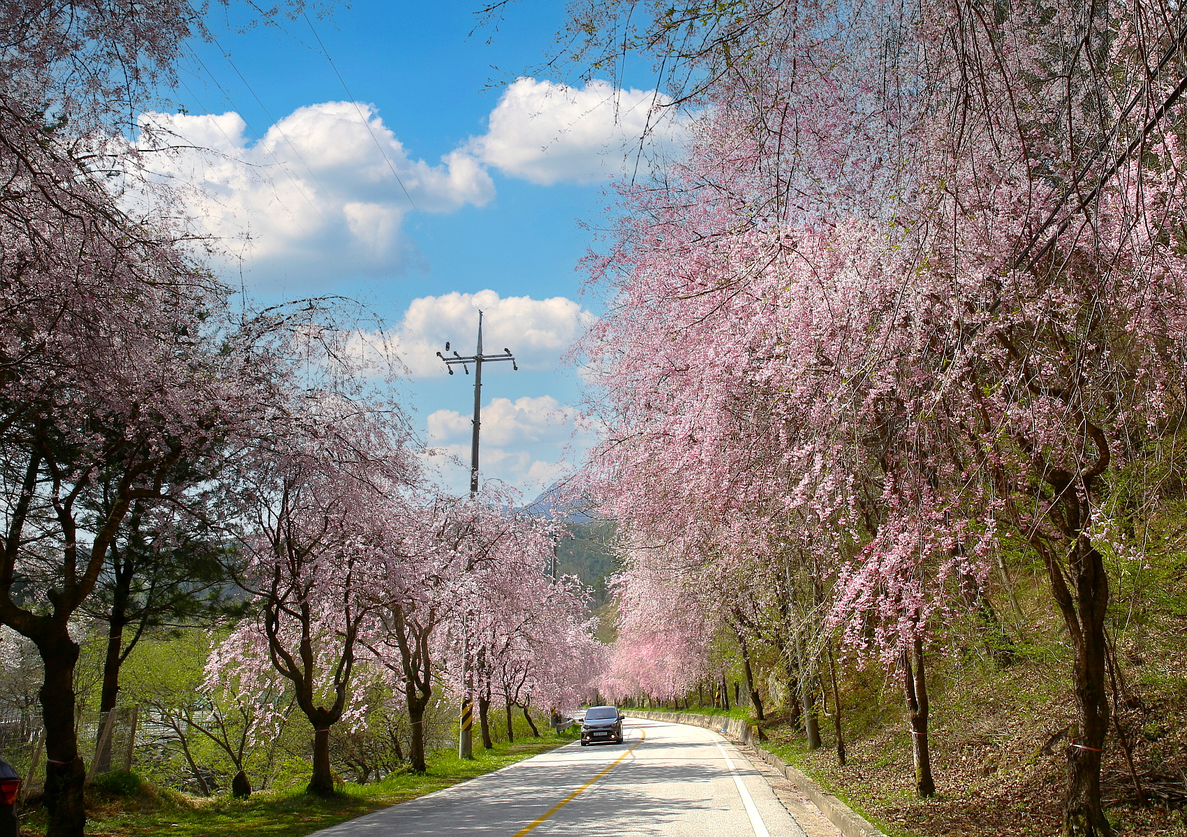 PHOTO BY  | Canon EOS 5D Mark III | 2024:04:12 09:38:42 | ISO-100 | 1/80 sec | f 13 | 27 mm | EV=0 | ● WIDTH:1700 pixels  HEIGHT:1199 pixels