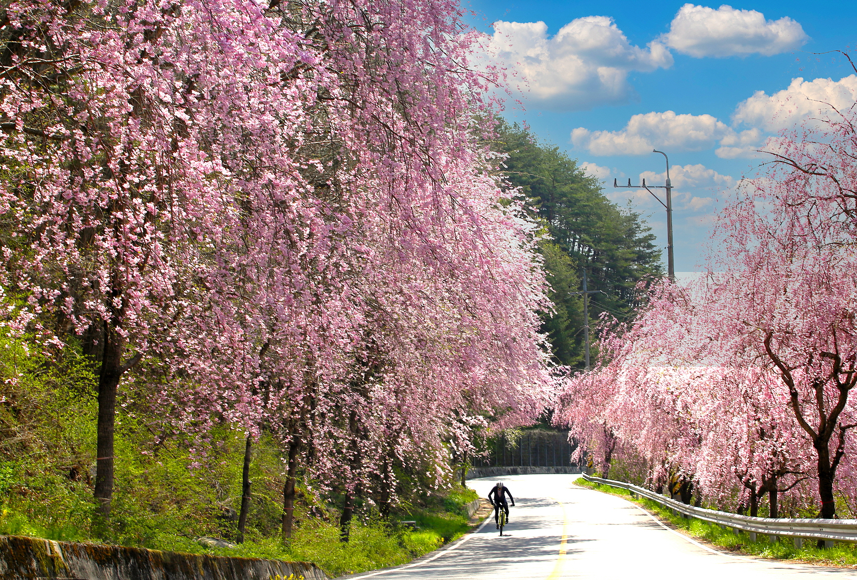 PHOTO BY  | Canon EOS 5D Mark III | 2024:04:12 10:34:59 | ISO-100 |  |  |  | EV=0 | ● WIDTH:1700 pixels  HEIGHT:1152 pixels