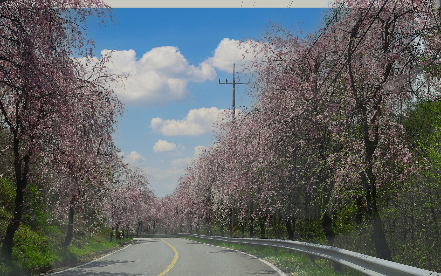 PHOTO BY  | Canon EOS 5D Mark III | 2024:04:12 10:23:50 | ISO-100 |  |  |  | EV=0 | ● WIDTH:1700 pixels  HEIGHT:1064 pixels