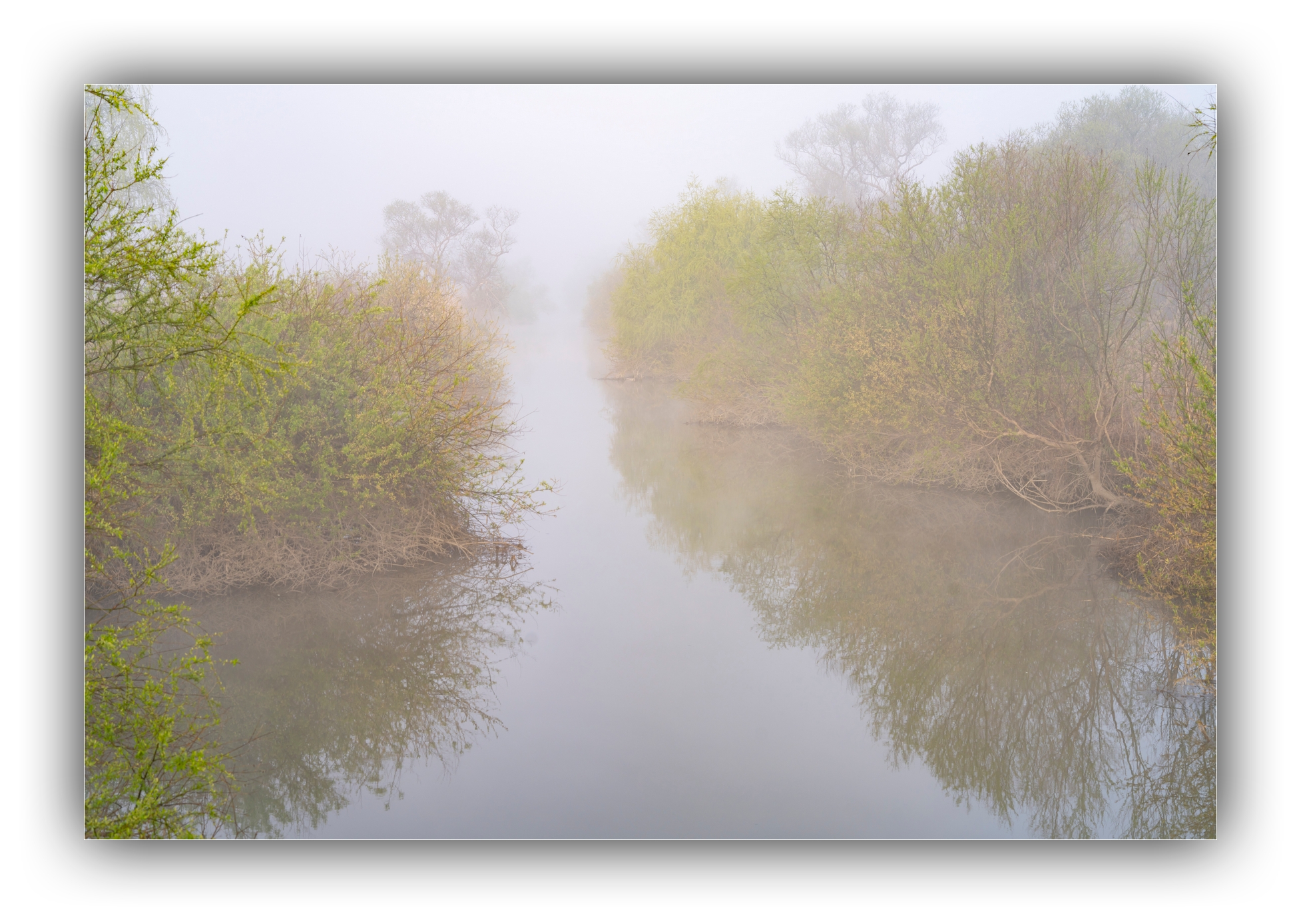 PHOTO BY Sil Sang Kim | ILCE-7RM4 | 2024:03:31 19:23:40 | ISO-100 | 1/125 sec | f 8 | 71 mm | EV=0 | ● WIDTH:1954 pixels  HEIGHT:1387 pixels