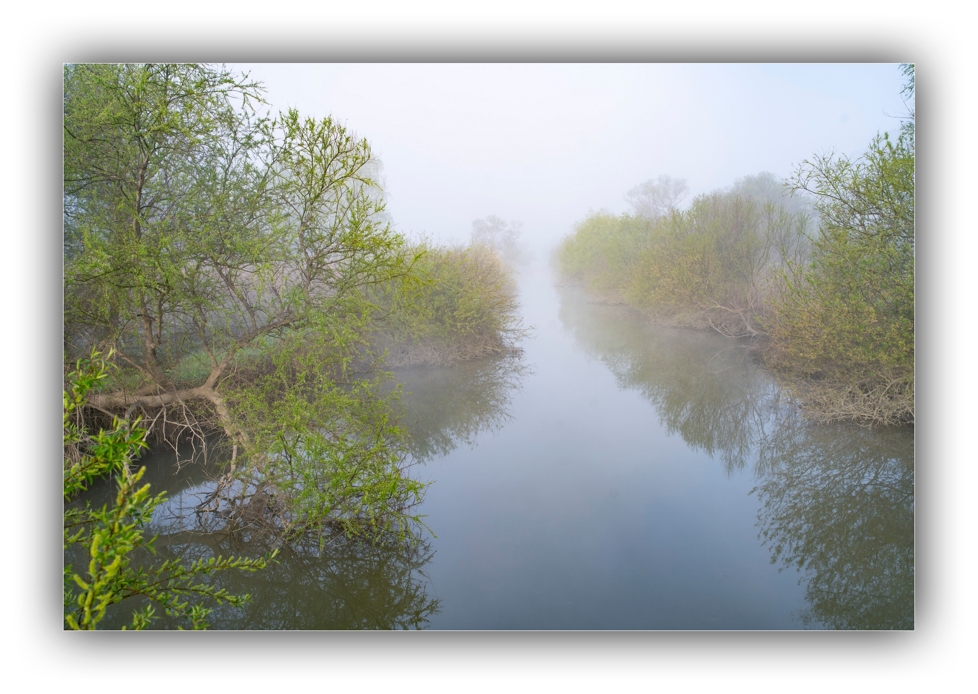 PHOTO BY Sil Sang Kim | ILCE-7RM4 | 2024:03:31 19:23:45 | ISO-100 | 1/125 sec | f 8 | 35 mm | EV=0 | ● WIDTH:1954 pixels  HEIGHT:1387 pixels