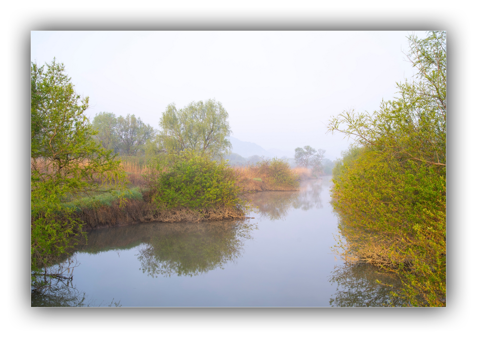 PHOTO BY Sil Sang Kim | ILCE-7RM4 | 2024:04:06 18:56:11 | ISO-100 | 1/50 sec | f 8 | 44 mm | EV=0 | ● WIDTH:1954 pixels  HEIGHT:1387 pixels