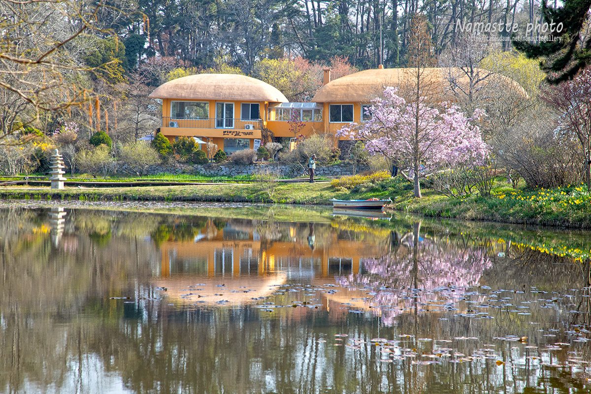 PHOTO BY LEE PILKOO | Canon EOS 5D Mark IV | 2024:04:07 09:05:40 | ISO-200 | 1/250 sec | f 8 | 105 mm | EV=-0.7 | ● WIDTH:1200 pixels  HEIGHT:800 pixels