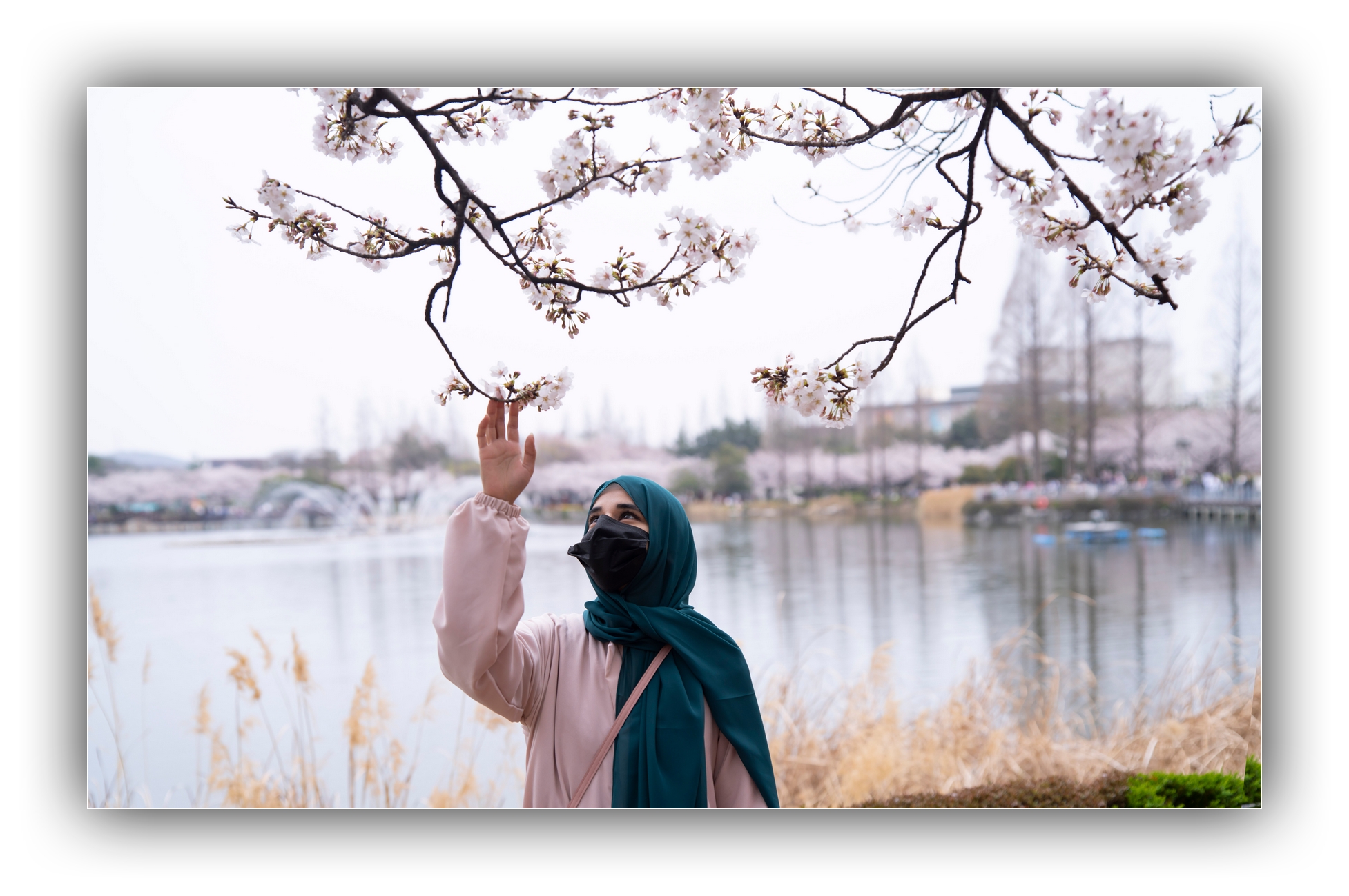 PHOTO BY Sil Sang Kim | ILCE-7RM4 | 2024:03:31 04:17:11 | ISO-100 | 1/500 sec | f 2.8 | 46 mm | EV=0 | ● WIDTH:1954 pixels  HEIGHT:1299 pixels