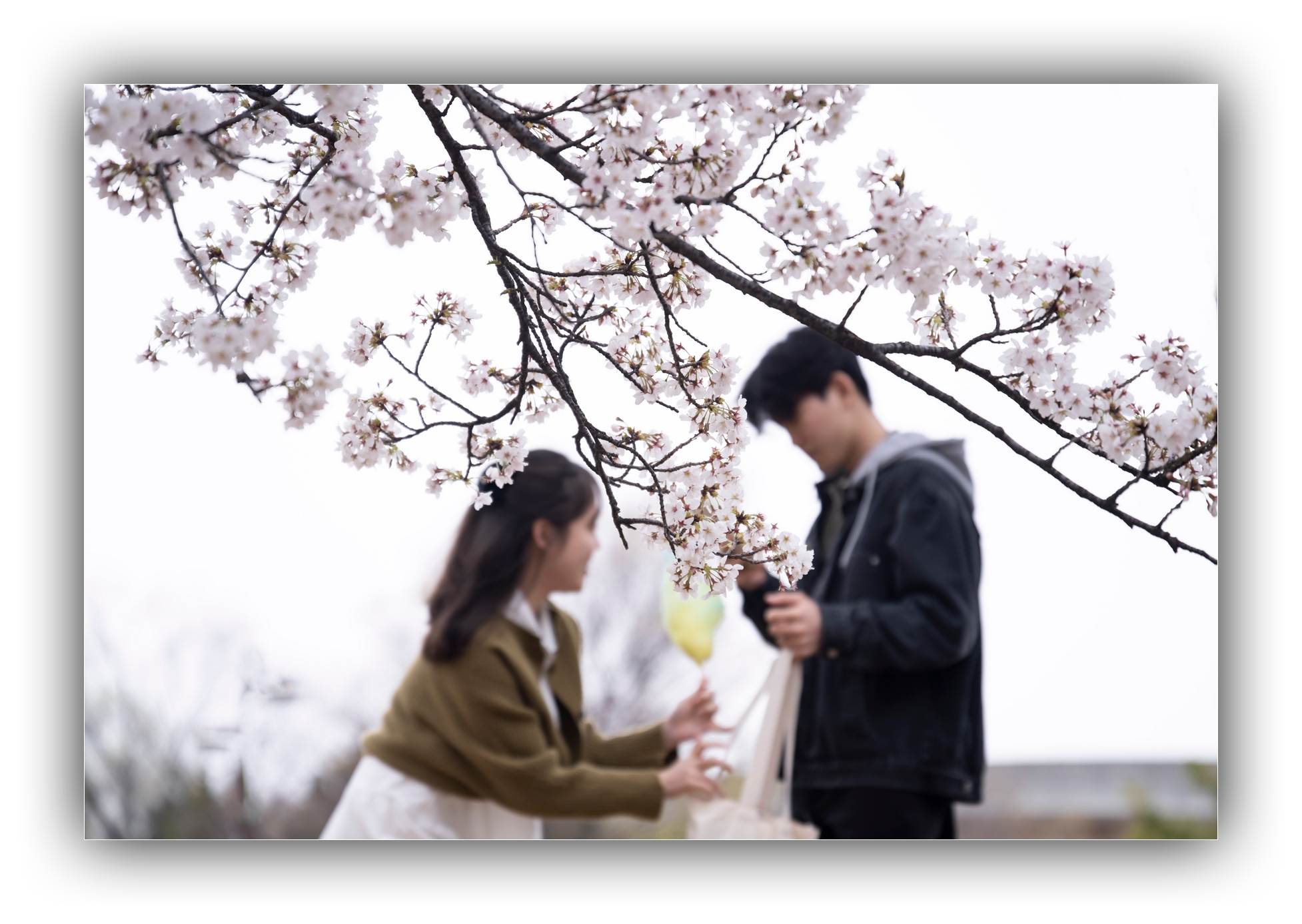 PHOTO BY Sil Sang Kim | ILCE-7RM4 | 2024:03:31 04:01:33 | ISO-100 | 1/500 sec | f 2.8 | 105 mm | EV=0 | ● WIDTH:1954 pixels  HEIGHT:1387 pixels