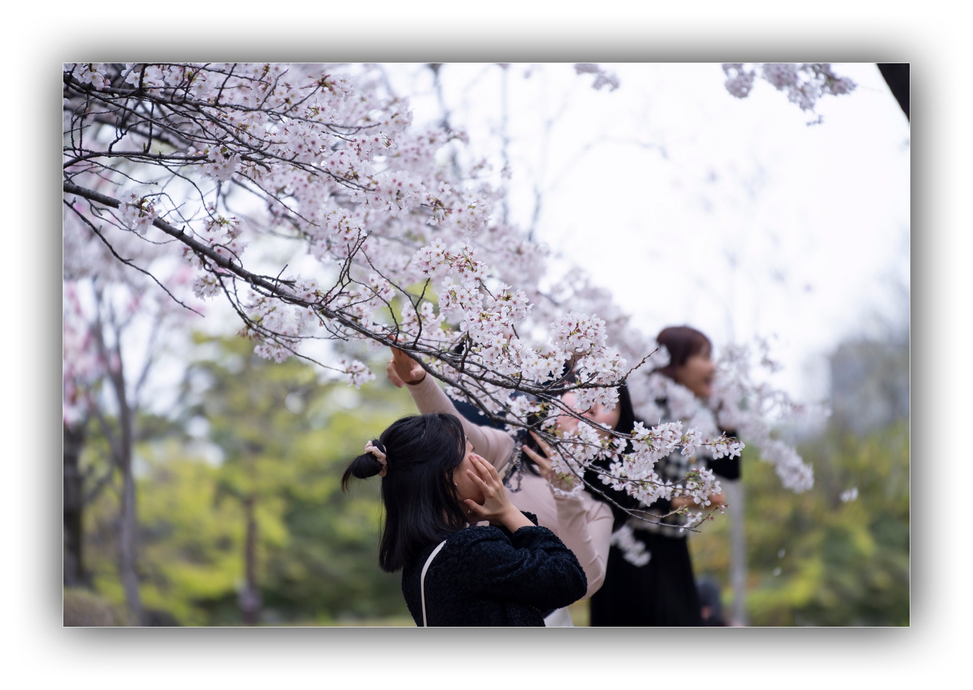 PHOTO BY Sil Sang Kim | ILCE-7RM4 | 2024:03:31 04:02:32 | ISO-100 | 1/500 sec | f 2.8 | 150 mm | EV=0 | ● WIDTH:1954 pixels  HEIGHT:1387 pixels