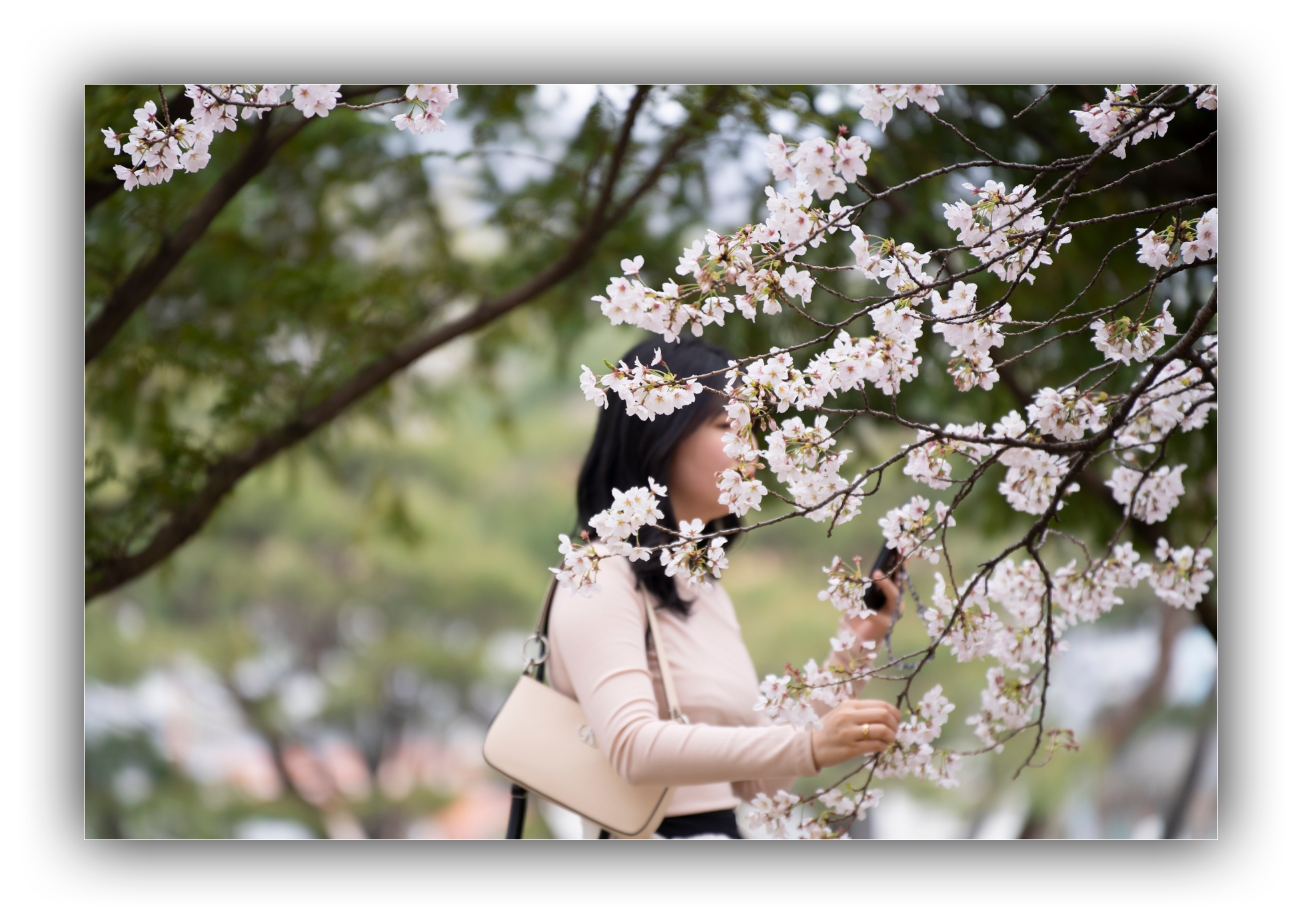 PHOTO BY Sil Sang Kim | ILCE-7RM4 | 2024:03:31 04:03:02 | ISO-100 | 1/500 sec | f 2.8 | 150 mm | EV=0 | ● WIDTH:1954 pixels  HEIGHT:1387 pixels