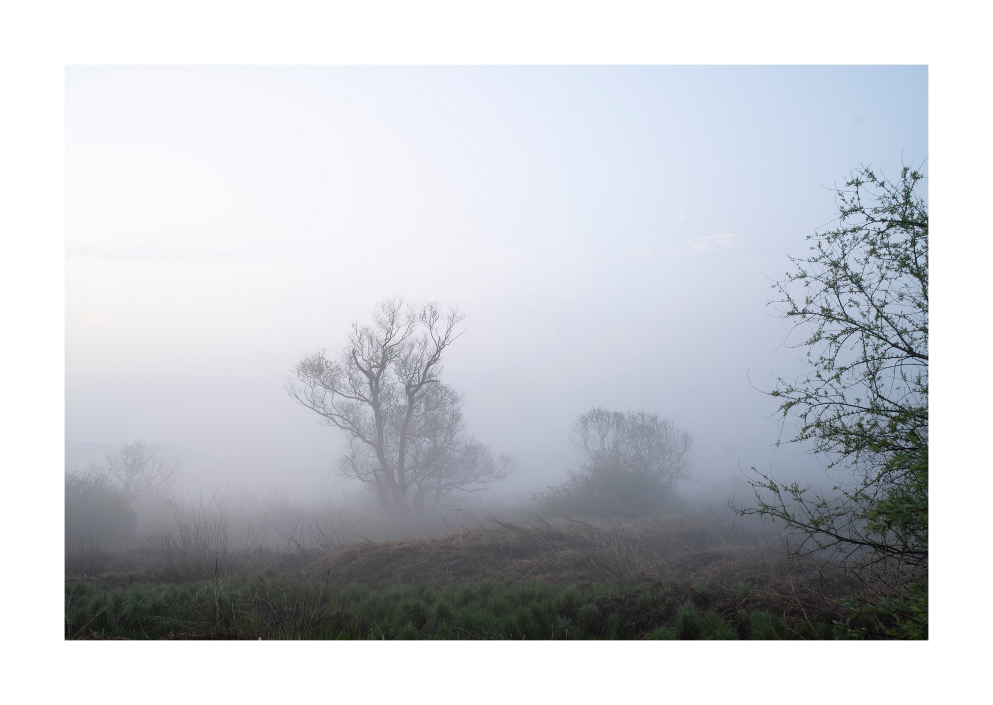 PHOTO BY Sil Sang Kim | ILCE-7RM4 | 2024:04:06 18:04:51 | ISO-100 | 1/20 sec | f 8 | 35 mm | EV=0 | ● WIDTH:1954 pixels  HEIGHT:1387 pixels
