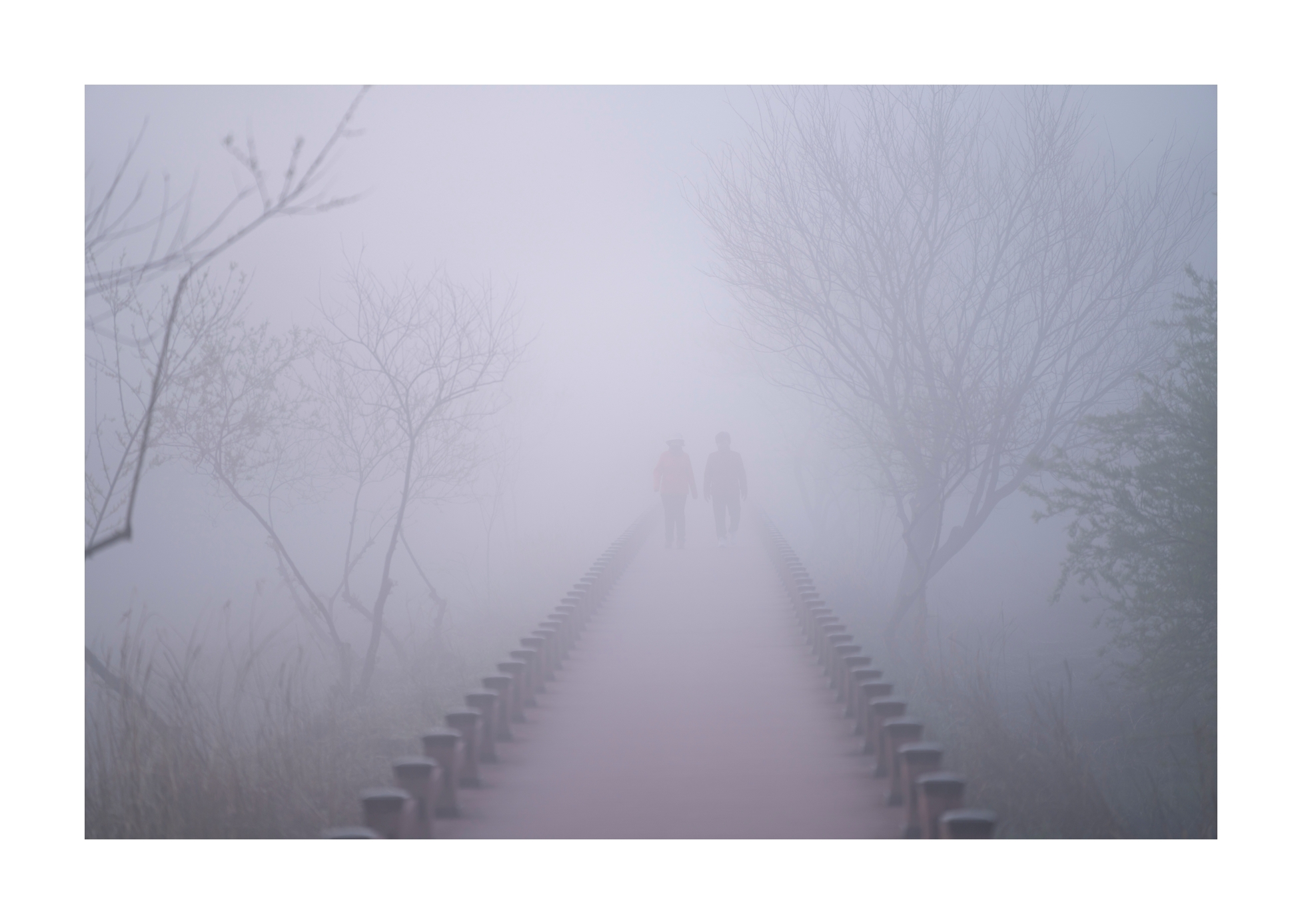 PHOTO BY Sil Sang Kim | ILCE-7RM4 | 2024:03:31 18:30:15 | ISO-100 | 1/320 sec | f 2.8 | 150 mm | EV=0 | ● WIDTH:1954 pixels  HEIGHT:1387 pixels