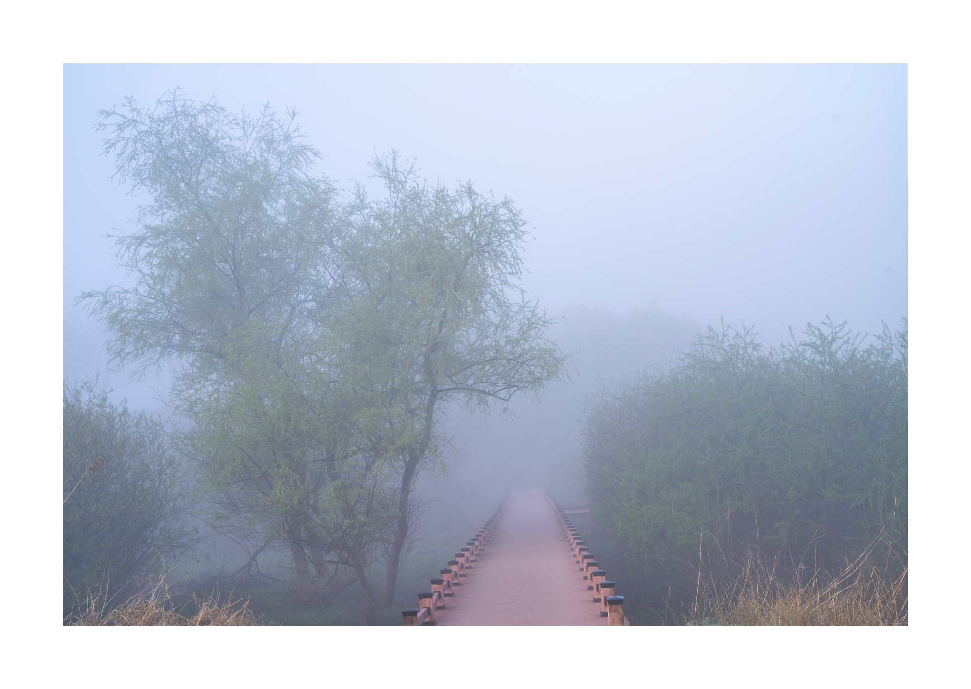 PHOTO BY Sil Sang Kim | ILCE-7RM4 | 2024:03:31 19:02:32 | ISO-100 | 1/100 sec | f 8 | 57 mm | EV=0 | ● WIDTH:1954 pixels  HEIGHT:1387 pixels