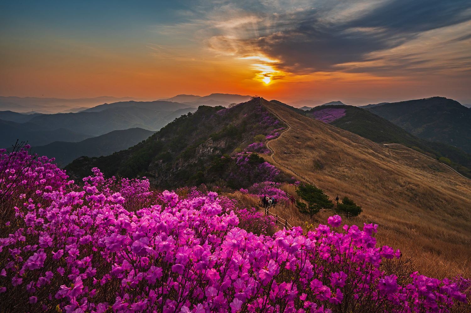 PHOTO BY  | NIKON Z 6_2 | 2024:04:13 06:17:09 | ISO-200 | 1/40 sec | f 16 | 18.5 mm | EV=0 | ● WIDTH:1500 pixels  HEIGHT:998 pixels