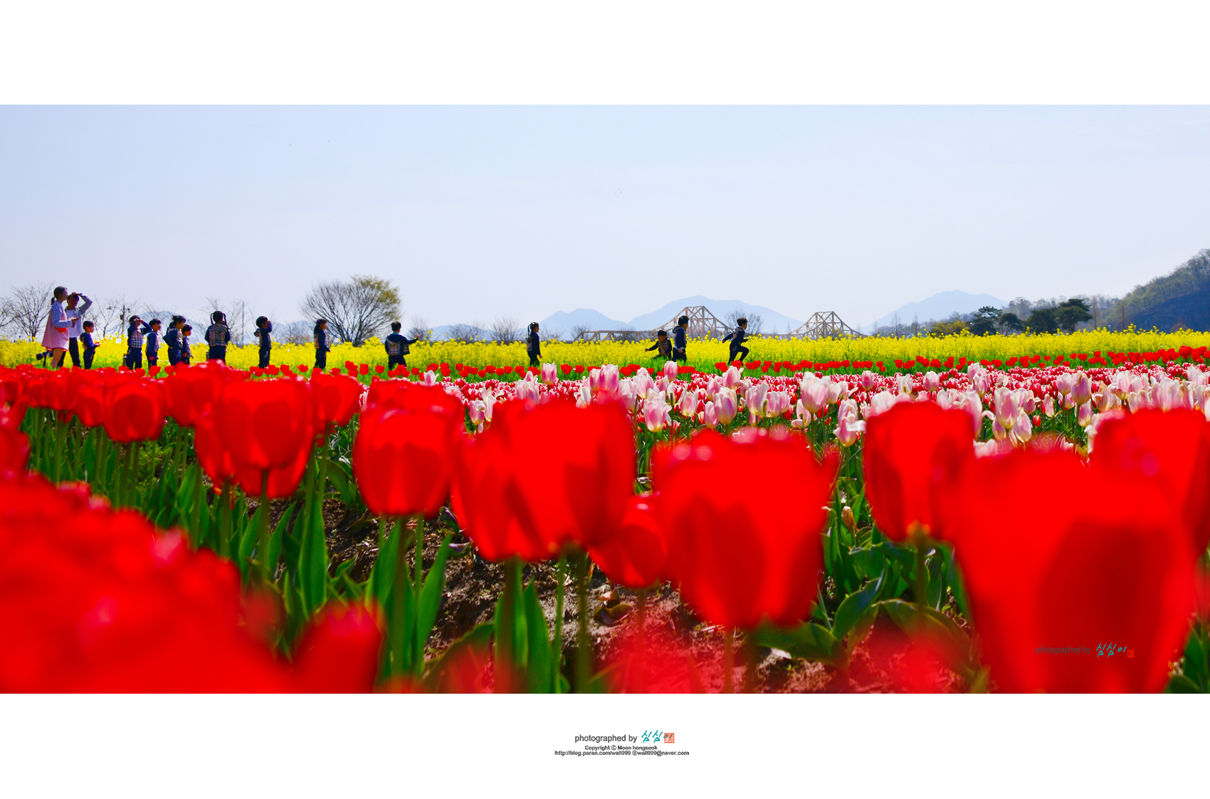 PHOTO BY MHS | NIKON D850 | 2024:04:05 10:22:32 | ISO-64 | 1/2000 sec | f 4.5 | 28 mm | EV=0 | ● WIDTH:1700 pixels  HEIGHT:1123 pixels