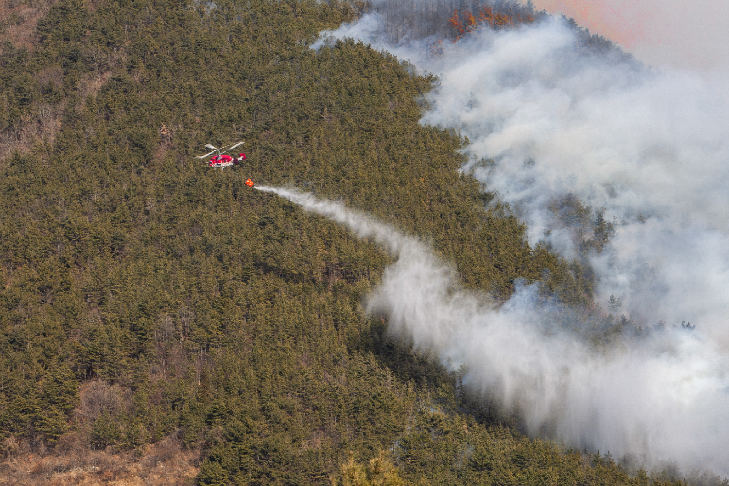 PHOTO BY  | CanonCanon  |  | ISO- |  |  |  | EV=0 | ● WIDTH:  HEIGHT: