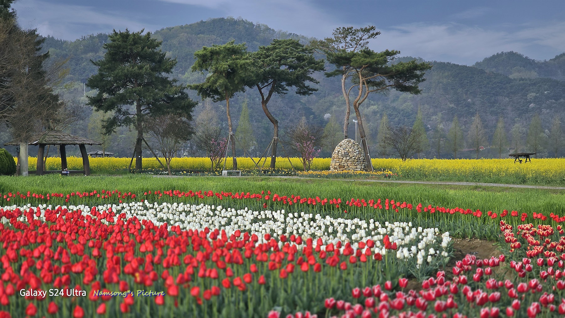 PHOTO BY  | Galaxy S24 Ultra | 2024:04:08 07:40:43 | ISO-50 | 1/2128 sec | f 2.4 | 7.9 mm | EV=0 | ● WIDTH:1800 pixels  HEIGHT:1013 pixels