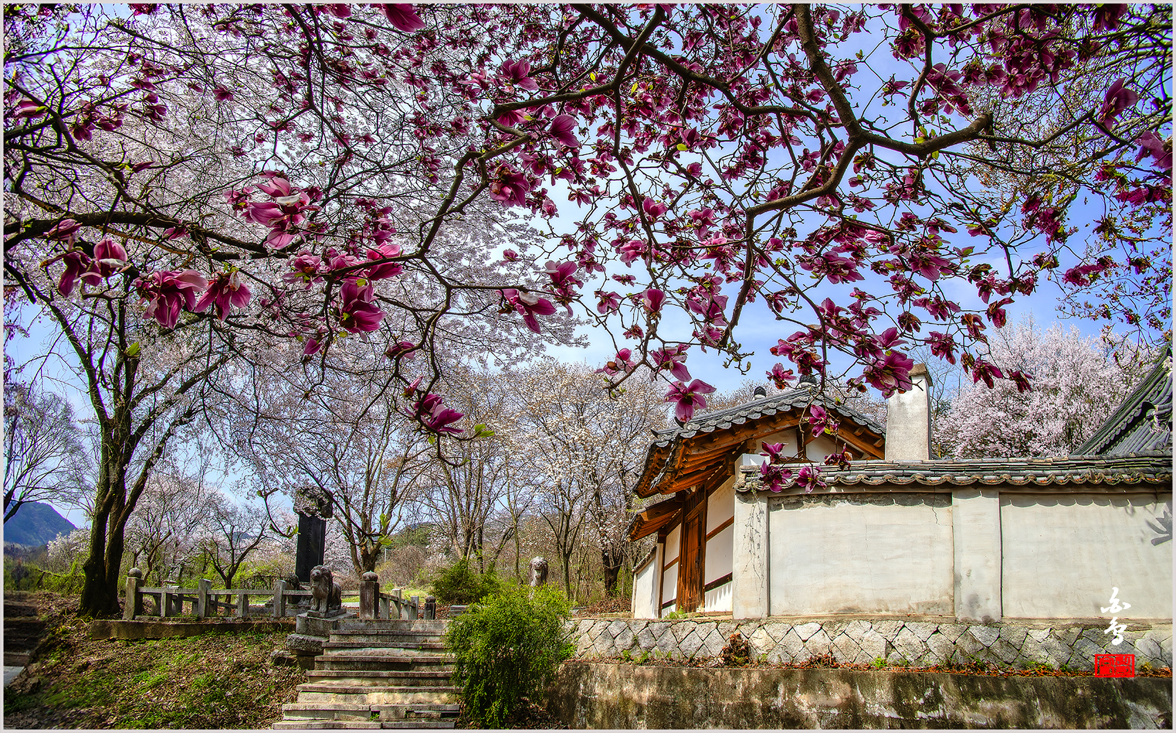 PHOTO BY SINSUKHEE | NIKON D850 | 2024:04:10 10:40:01 | ISO-200 | 1/500 sec | f 11 | 13 mm | EV=-0.3 | ● WIDTH:1700 pixels  HEIGHT:1059 pixels