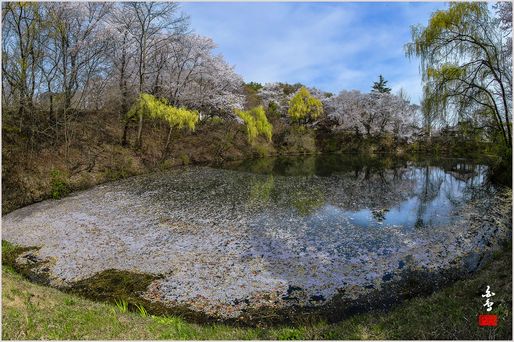 PHOTO BY SINSUKHEE | NIKON D850 | 2024:04:10 10:09:54 | ISO-200 | 1/500 sec | f 11 | 16 mm | EV=-0.3 | ● WIDTH:1700 pixels  HEIGHT:1133 pixels