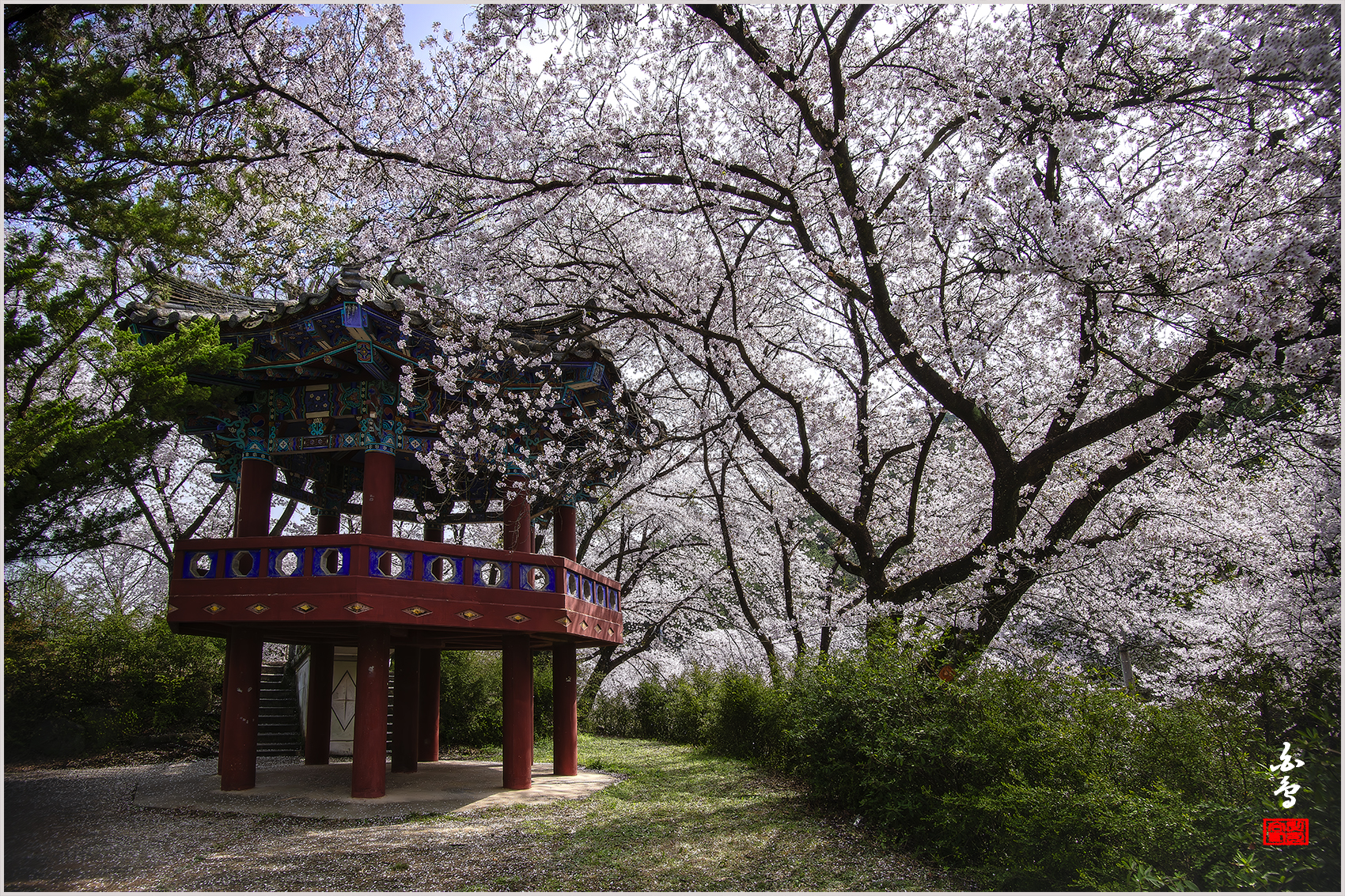 PHOTO BY SINSUKHEE | NIKON D850 | 2024:04:10 10:12:13 | ISO-200 | 1/320 sec | f 11 | 20 mm | EV=-0.3 | ● WIDTH:1700 pixels  HEIGHT:1133 pixels