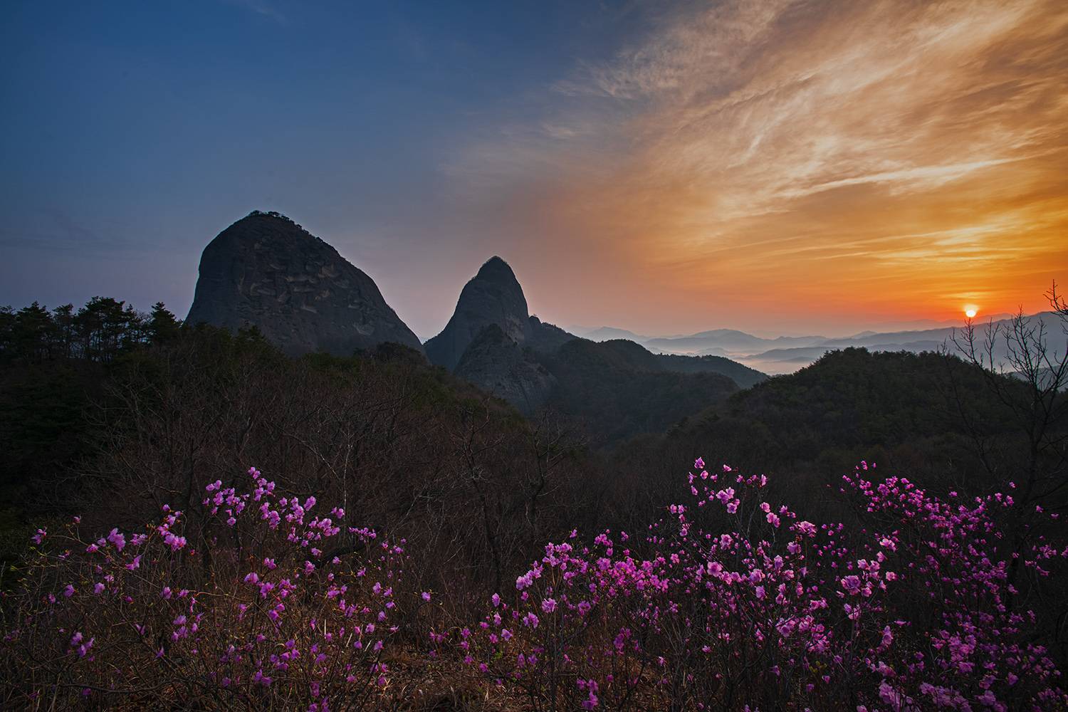 PHOTO BY  | NIKON D850 | 2024:04:07 06:21:35 | ISO-200 | 1/40 sec | f 11 | 17 mm | EV=-0.7 | ● WIDTH:1500 pixels  HEIGHT:1000 pixels