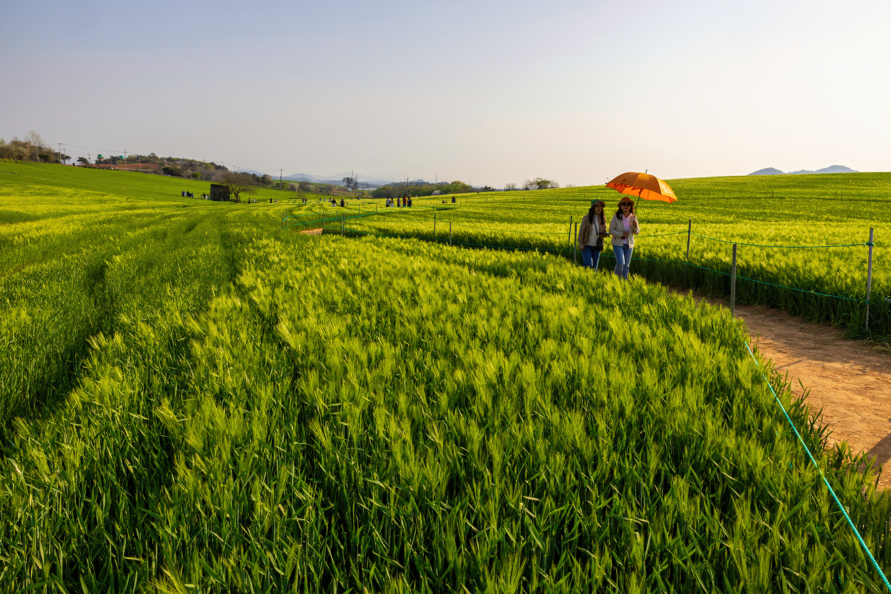 PHOTO BY  | Canon EOS R5 | 2024:04:13 17:11:54 | ISO-200 | 1/400 sec | f 11 | 24 mm | EV=0 | ● WIDTH:1800 pixels  HEIGHT:1201 pixels