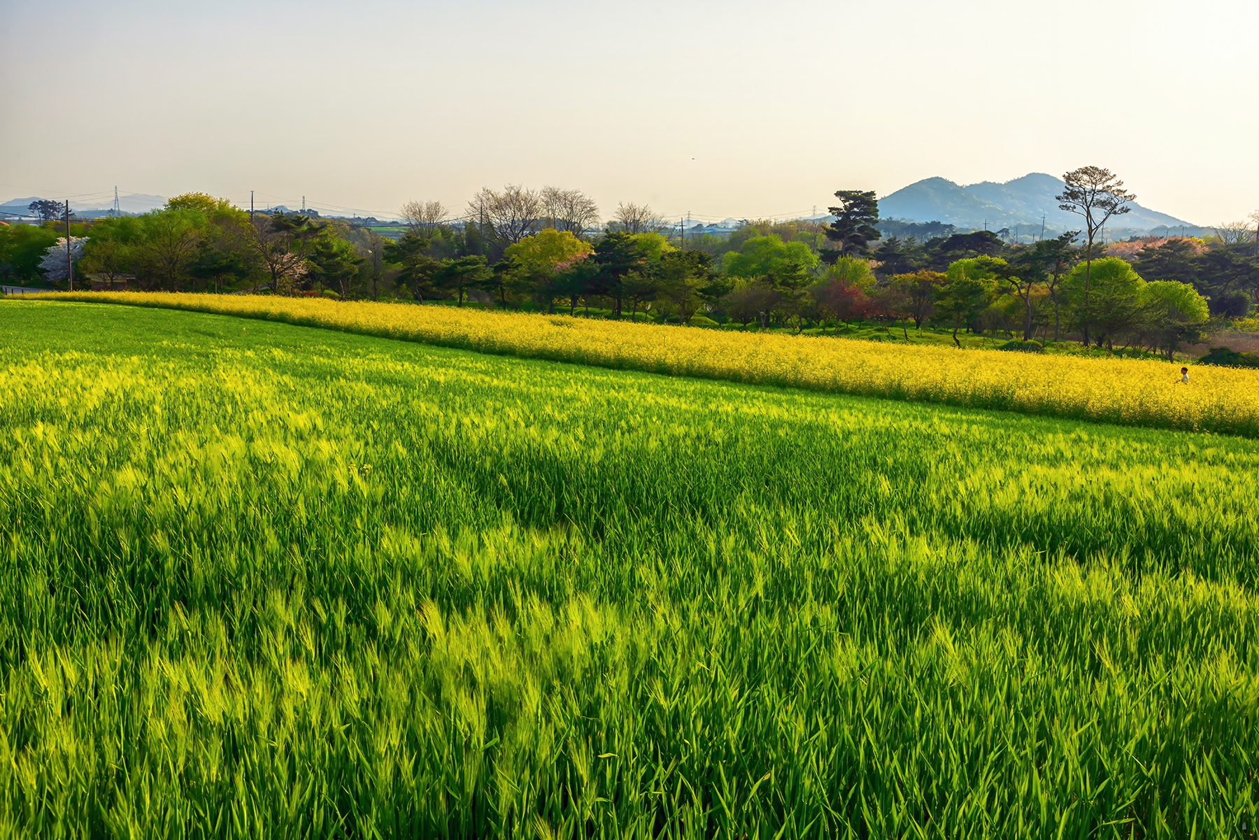 PHOTO BY  | Canon EOS R5 | 2024:04:13 17:23:24 | ISO-200 | 1/250 sec | f 11 | 32 mm | EV=0 | ● WIDTH:1800 pixels  HEIGHT:1201 pixels