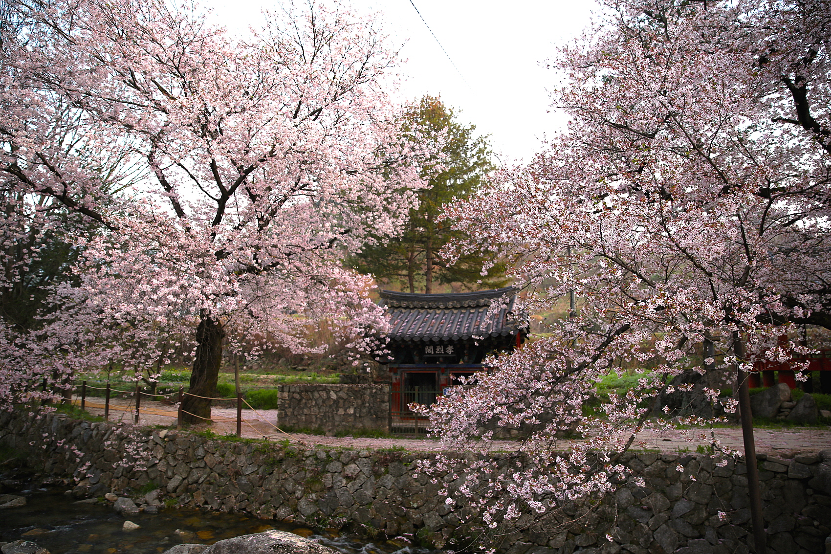 PHOTO BY  | Canon EOS 5D Mark III | 2024:04:12 05:46:10 | ISO-160 | 1/40 sec | f 2.8 | 24 mm | EV=0 | ● WIDTH:1700 pixels  HEIGHT:1133 pixels