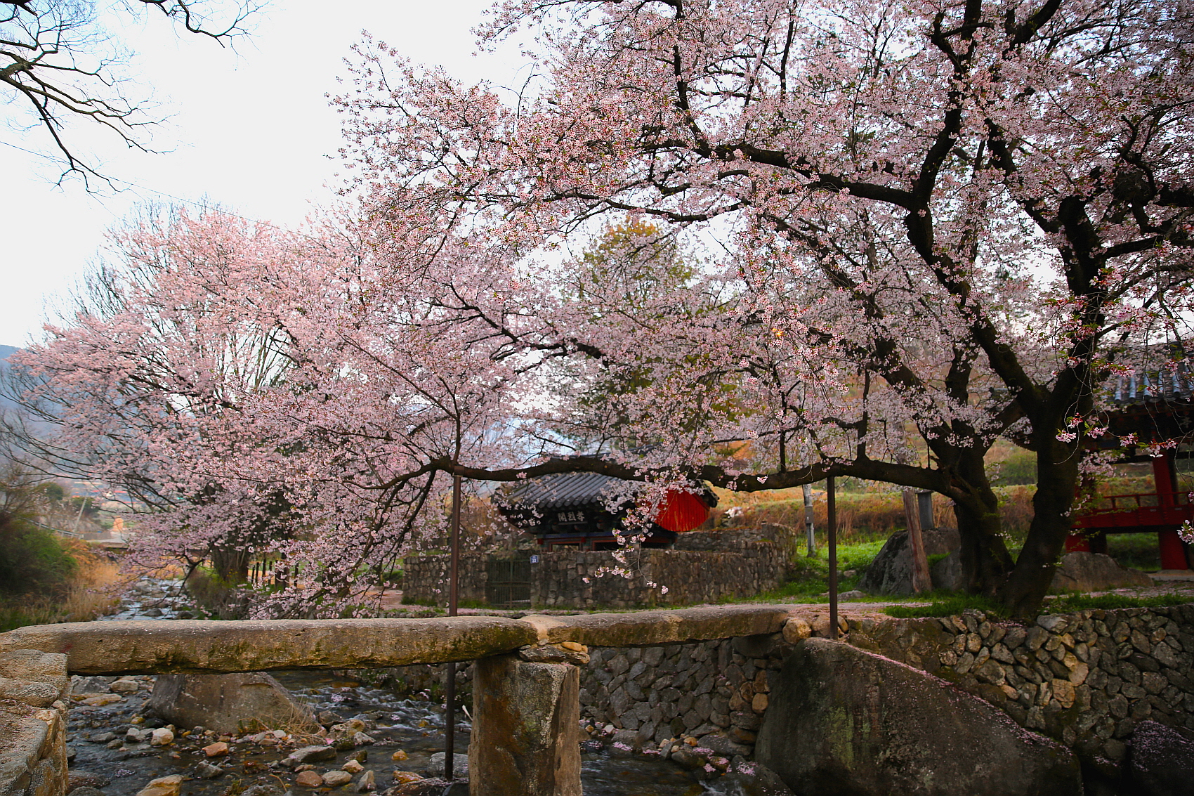 PHOTO BY  | Canon EOS 5D Mark III | 2024:04:12 05:47:04 | ISO-125 |  |  |  | EV=0 | ● WIDTH:1700 pixels  HEIGHT:1133 pixels