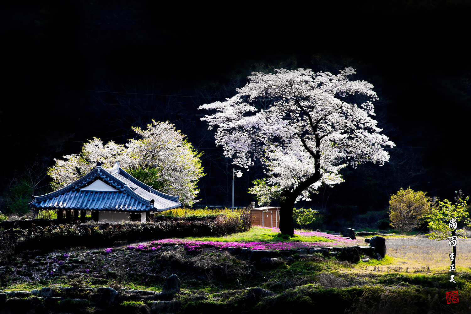 PHOTO BY  | Canon EOS 5D Mark IV | 2024:04:12 15:53:38 | ISO-200 | 1/100 sec | f 11 | 105 mm | EV=0 | ● WIDTH:1500 pixels  HEIGHT:1000 pixels