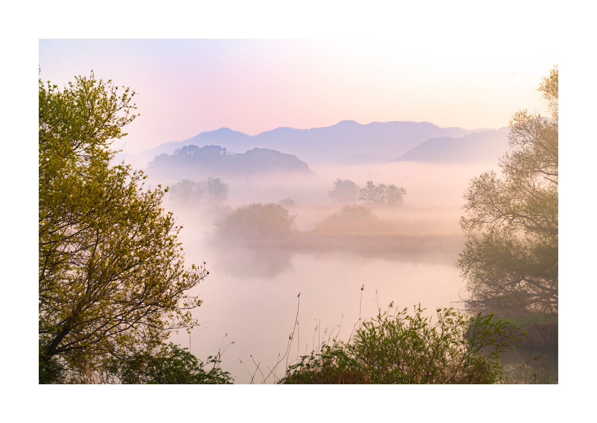 PHOTO BY Sil Sang Kim | ILCE-7RM4 | 2024:04:06 18:39:45 | ISO-100 | 1/80 sec | f 8 | 69 mm | EV=0 | ● WIDTH:1954 pixels  HEIGHT:1387 pixels