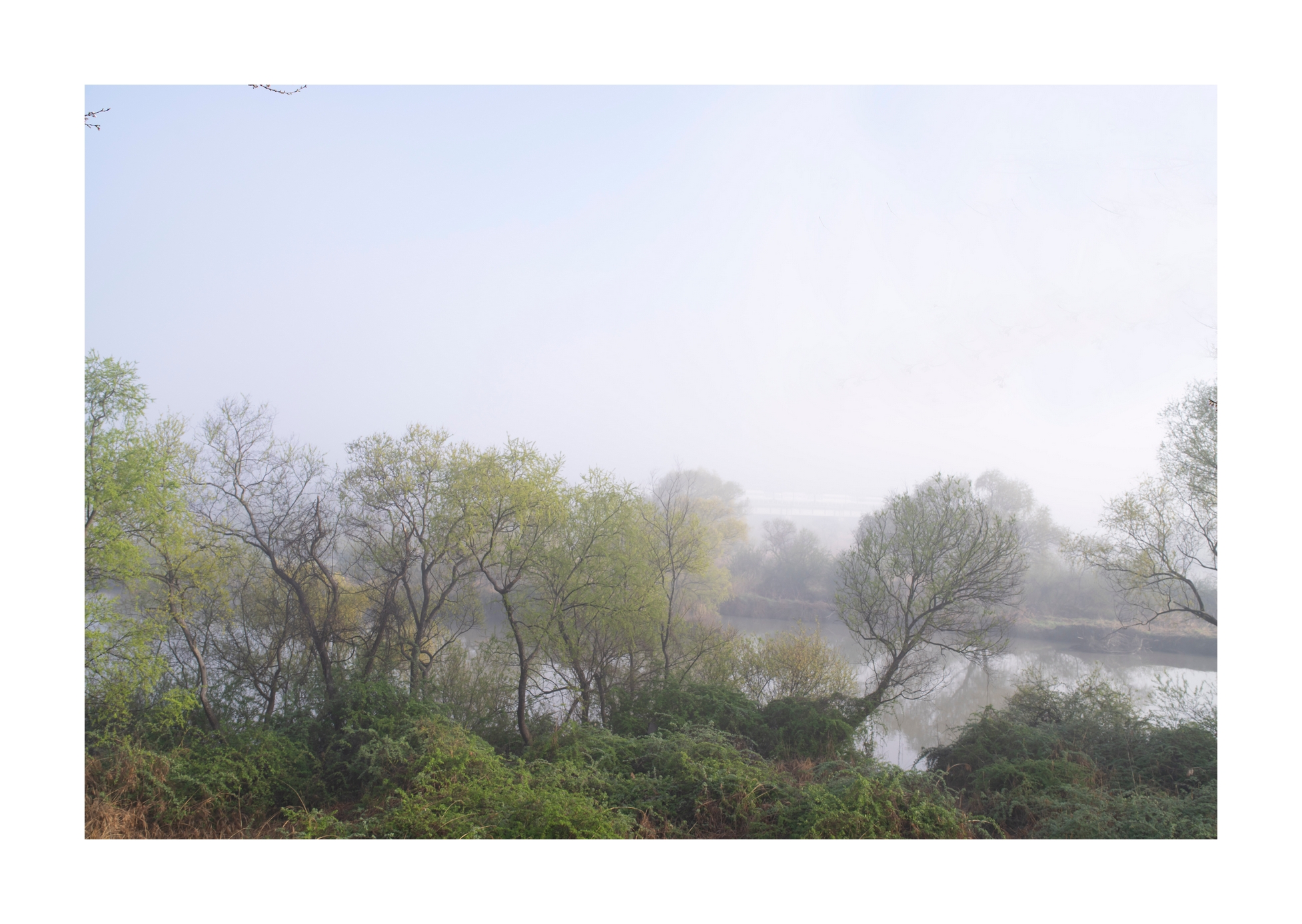 PHOTO BY Sil Sang Kim | ILCE-7RM4 | 2024:03:31 19:35:39 | ISO-100 | 1/320 sec | f 8 | 35 mm | EV=0 | ● WIDTH:1954 pixels  HEIGHT:1387 pixels