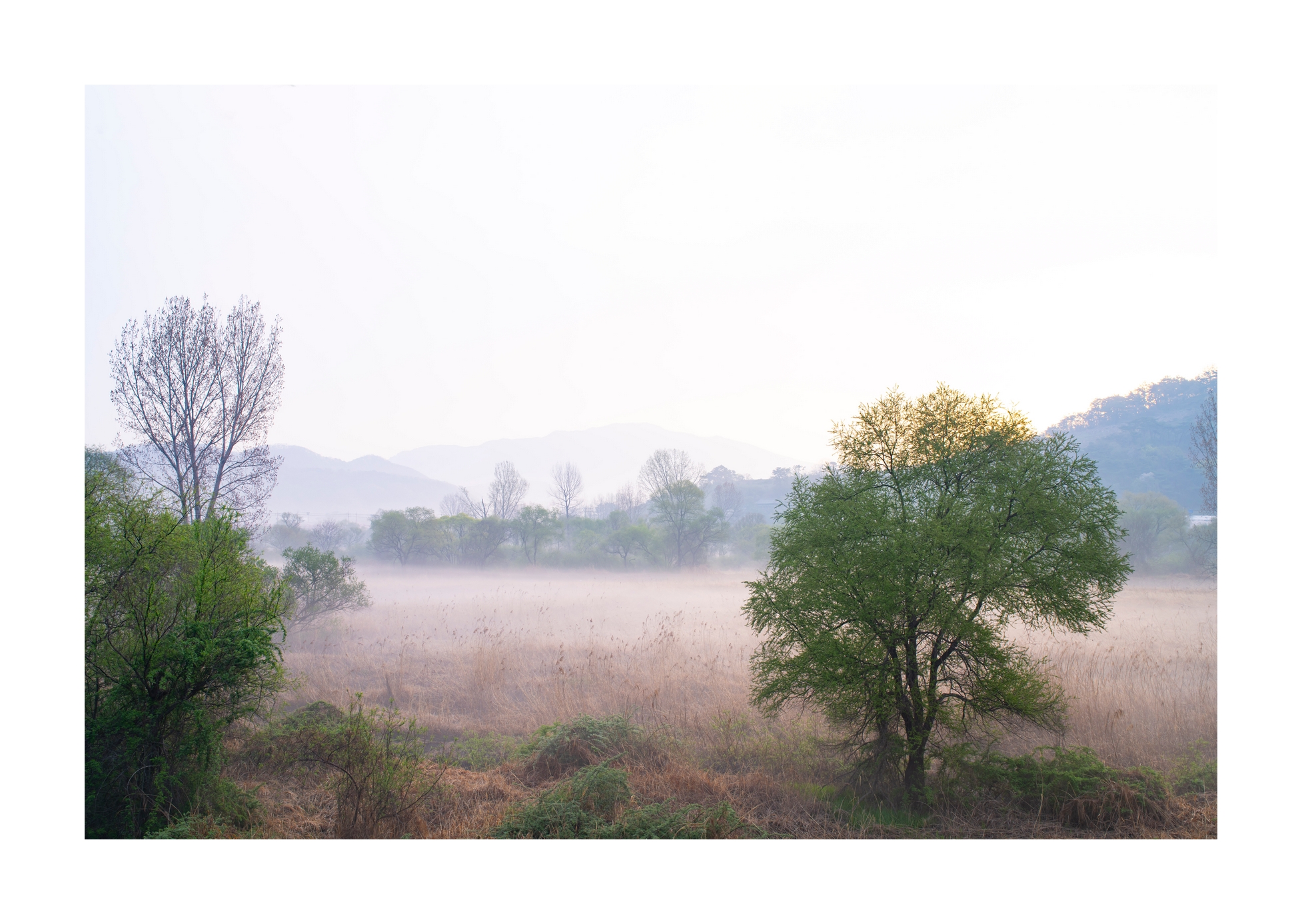 PHOTO BY Sil Sang Kim | ILCE-7RM4 | 2024:04:05 18:35:41 | ISO-100 | 1/60 sec | f 8 | 35 mm | EV=0 | ● WIDTH:1954 pixels  HEIGHT:1387 pixels