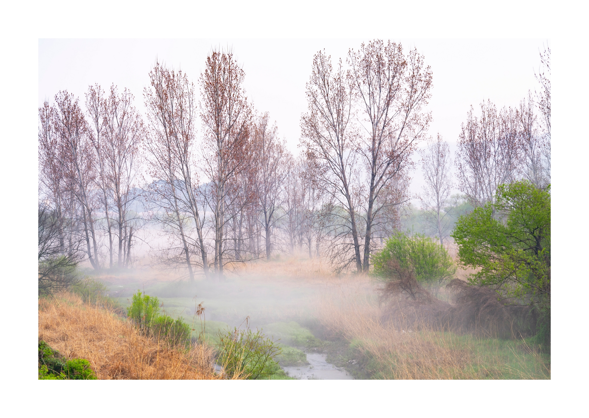PHOTO BY Sil Sang Kim | ILCE-7RM4 | 2024:04:05 18:34:04 | ISO-100 | 1/60 sec | f 8 | 84 mm | EV=0 | ● WIDTH:1954 pixels  HEIGHT:1387 pixels