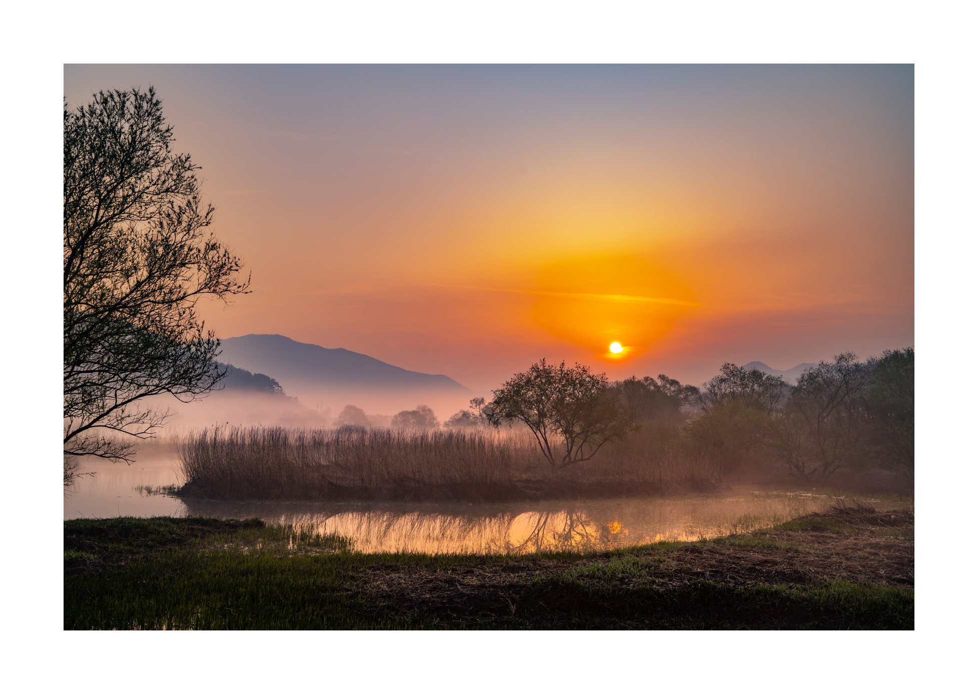 PHOTO BY Sil Sang Kim | ILCE-7RM4 | 2024:04:06 18:26:57 | ISO-100 | 1/80 sec | f 8 | 47 mm | EV=0 | ● WIDTH:1954 pixels  HEIGHT:1387 pixels