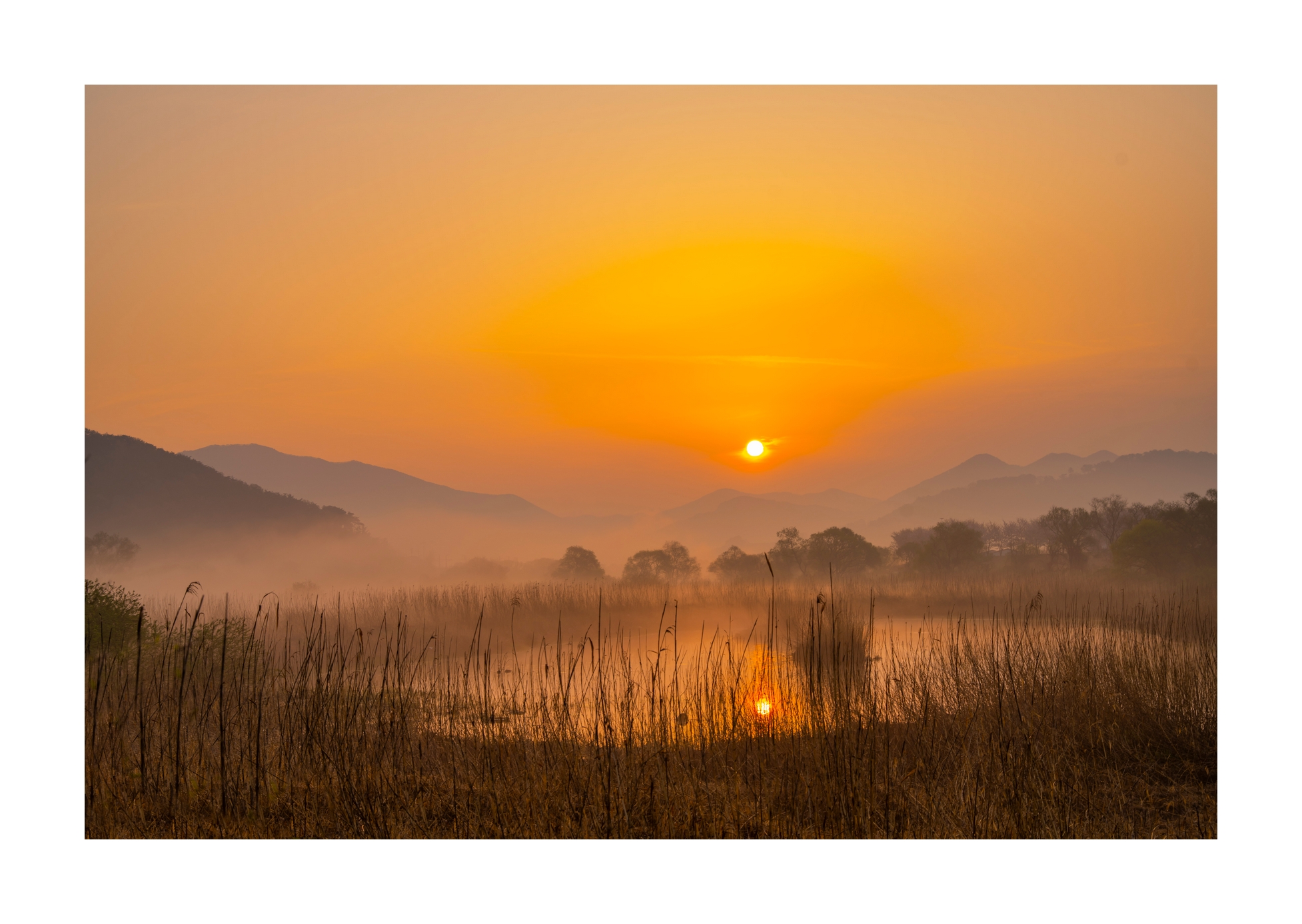 PHOTO BY Sil Sang Kim | ILCE-7RM4 | 2024:04:06 18:25:53 | ISO-100 | 1/80 sec | f 8 | 54 mm | EV=0 | ● WIDTH:1954 pixels  HEIGHT:1387 pixels
