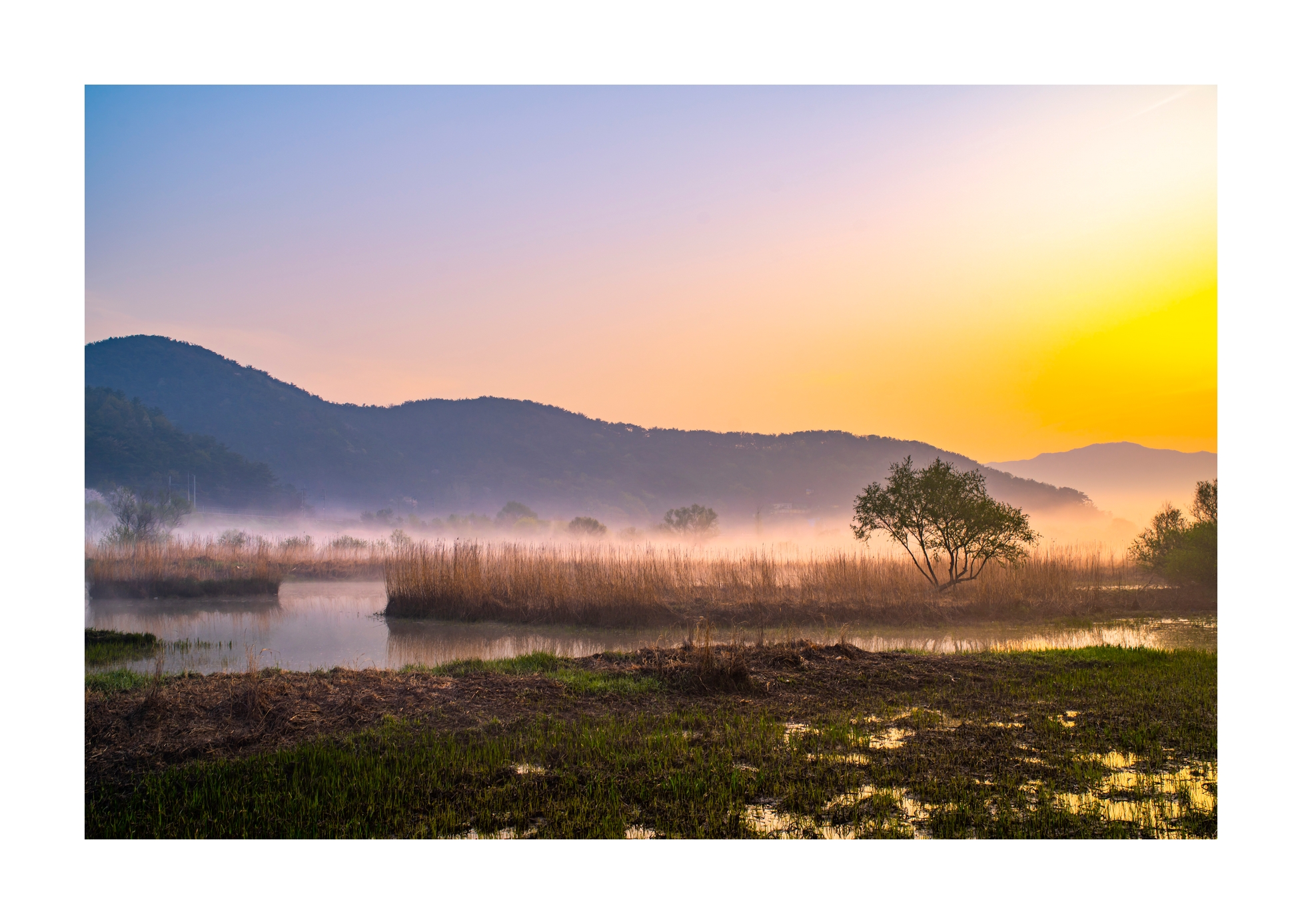 PHOTO BY Sil Sang Kim | ILCE-7RM4 | 2024:04:06 18:27:29 | ISO-100 | 1/80 sec | f 8 | 35 mm | EV=0 | ● WIDTH:1954 pixels  HEIGHT:1387 pixels