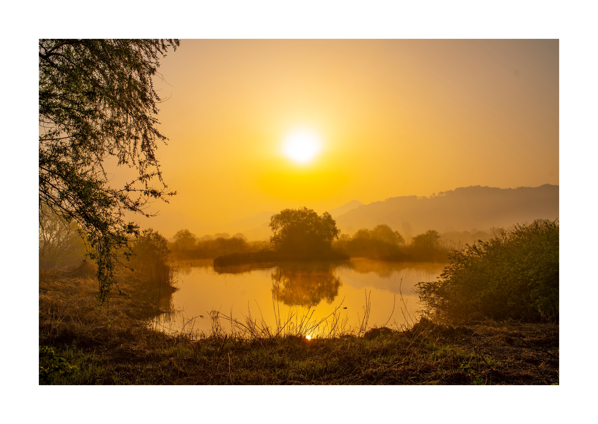 PHOTO BY Sil Sang Kim | ILCE-7RM4 | 2024:04:06 18:54:24 | ISO-100 | 1/400 sec | f 8 | 35 mm | EV=0 | ● WIDTH:1954 pixels  HEIGHT:1387 pixels