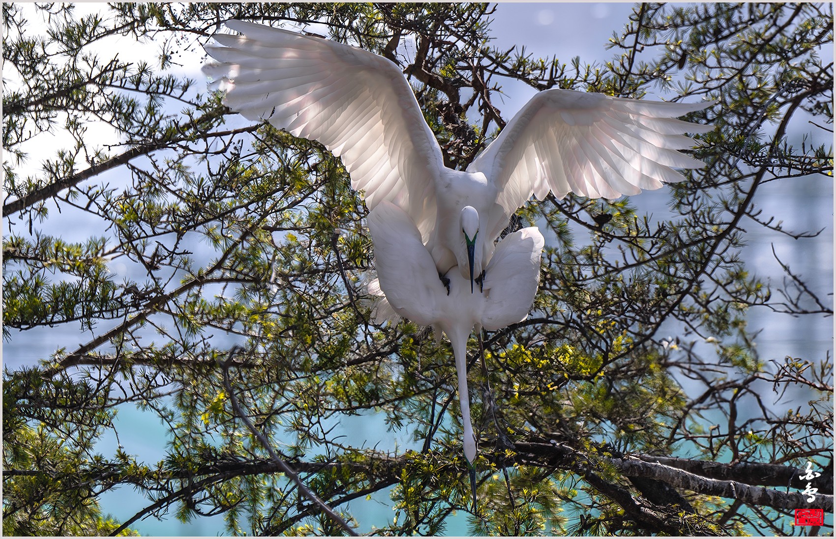   | PHOTO BY : 백조/신숙희  |