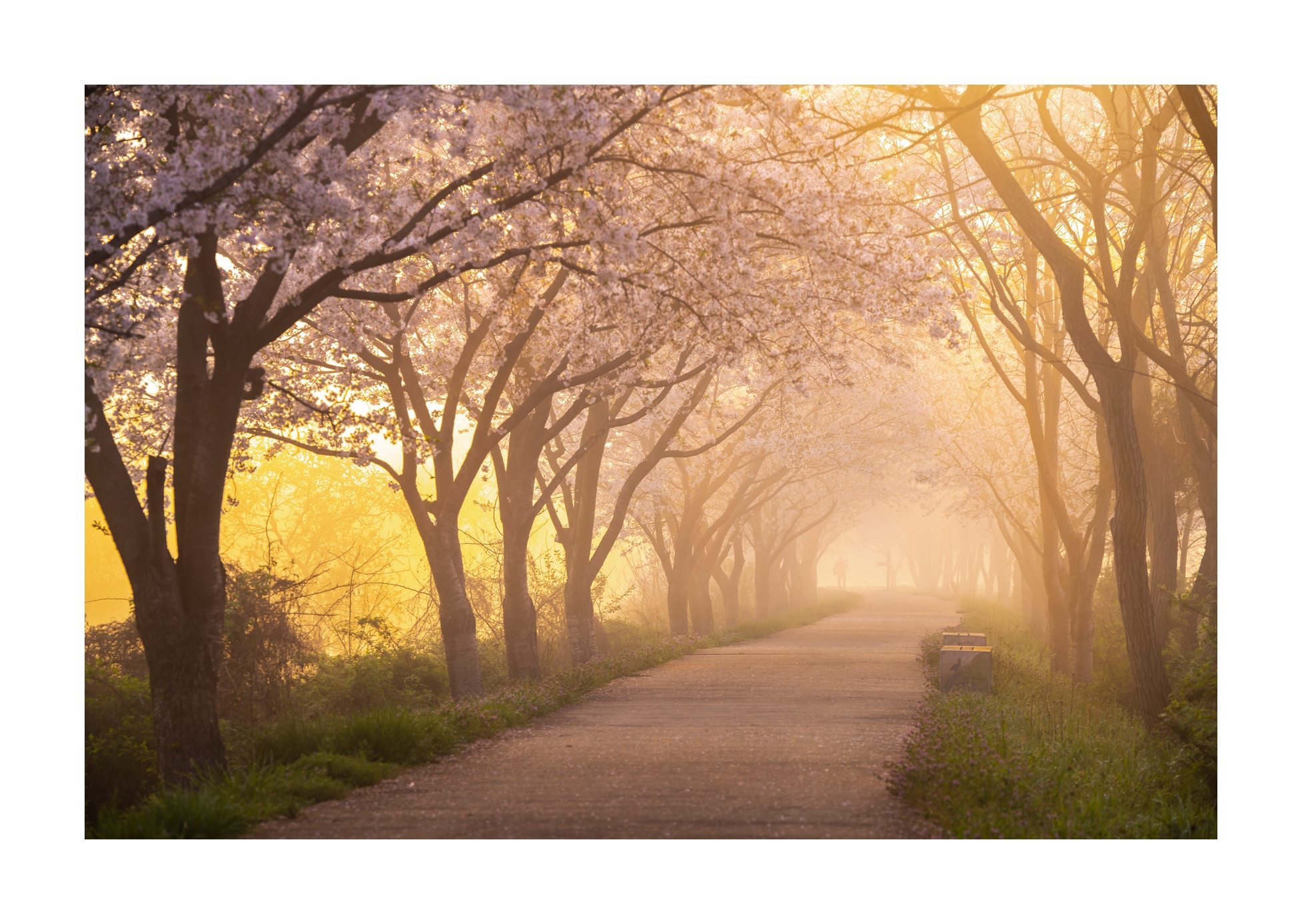 PHOTO BY Sil Sang Kim | ILCE-7RM4 | 2024:04:06 18:44:22 | ISO-100 | 1/40 sec | f 8 | 150 mm | EV=0 | ● WIDTH:1954 pixels  HEIGHT:1387 pixels