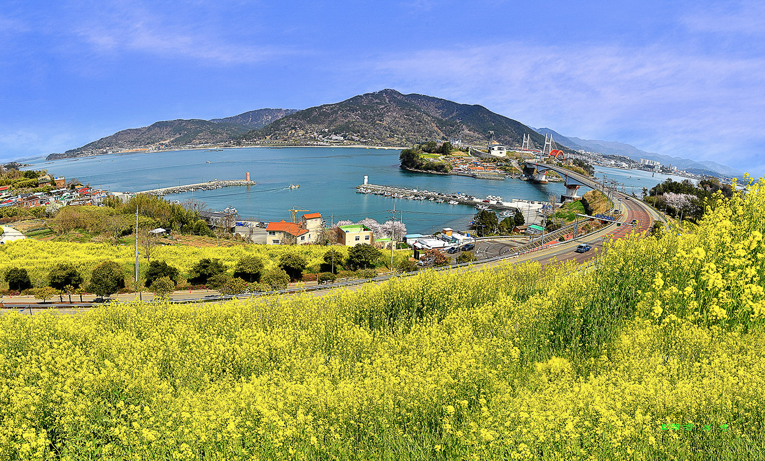 | PHOTO BY : 법연 권정욱  |