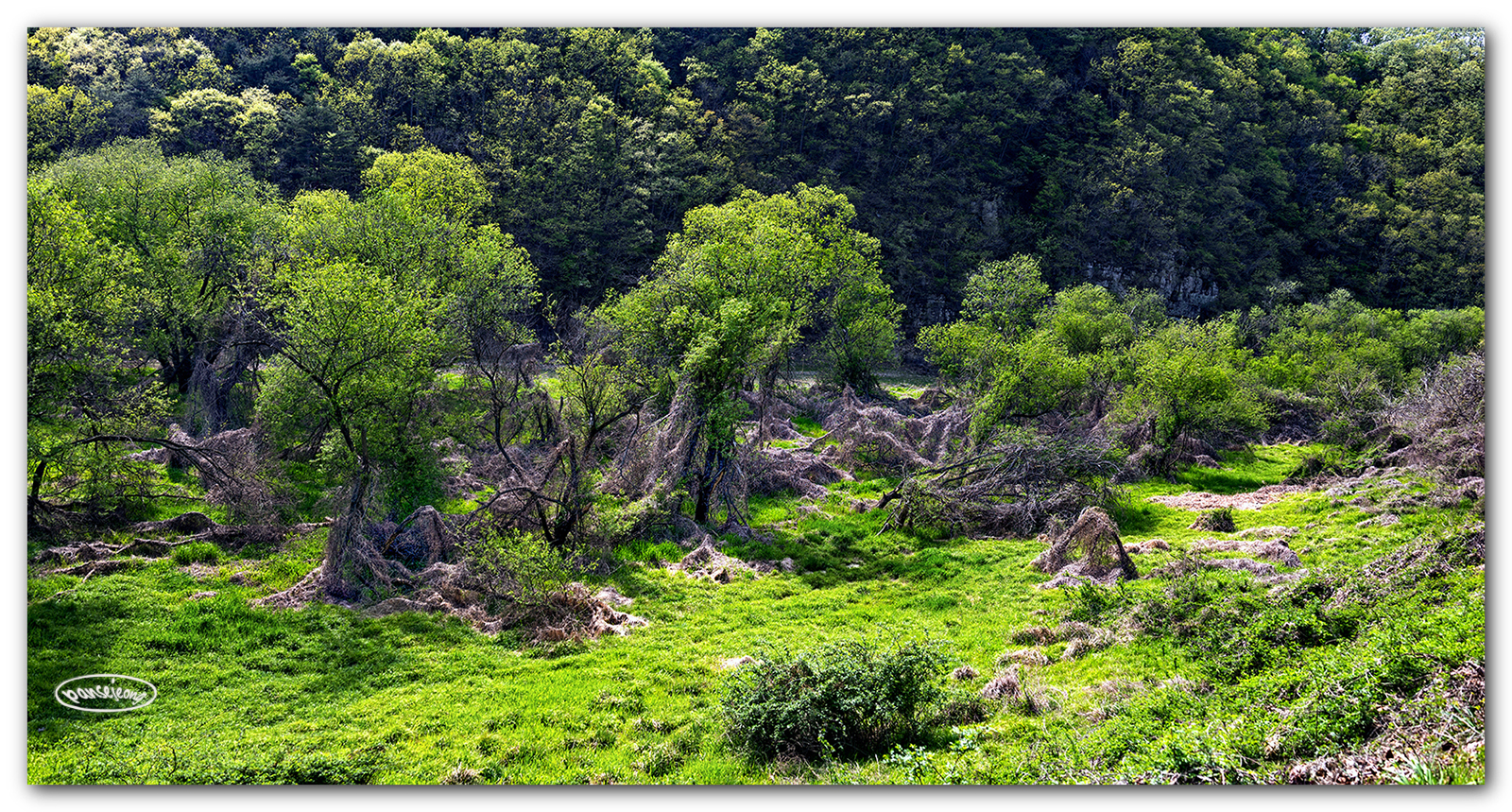 PHOTO BY jps | Canon EOS R6 | 2024:04:14 14:42:40 | ISO-100 | 1/160 sec | f 7.1 | 35 mm | EV=-0.3 | ● WIDTH:1600 pixels  HEIGHT:859 pixels