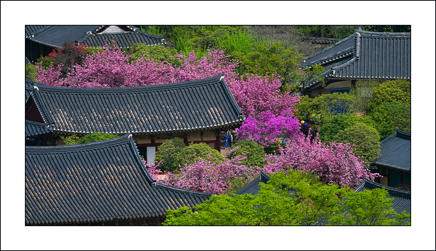   | PHOTO BY : 삿갓/정봉식  |